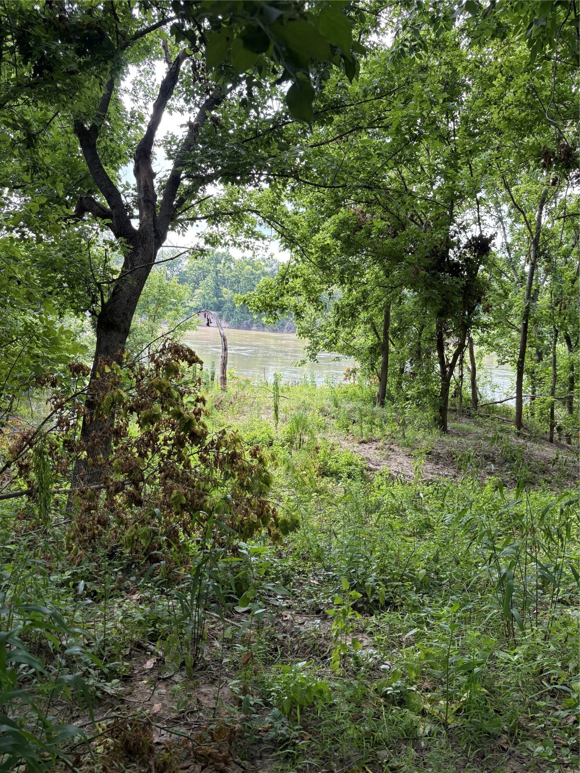 Tbd River Road S Property Photo 5