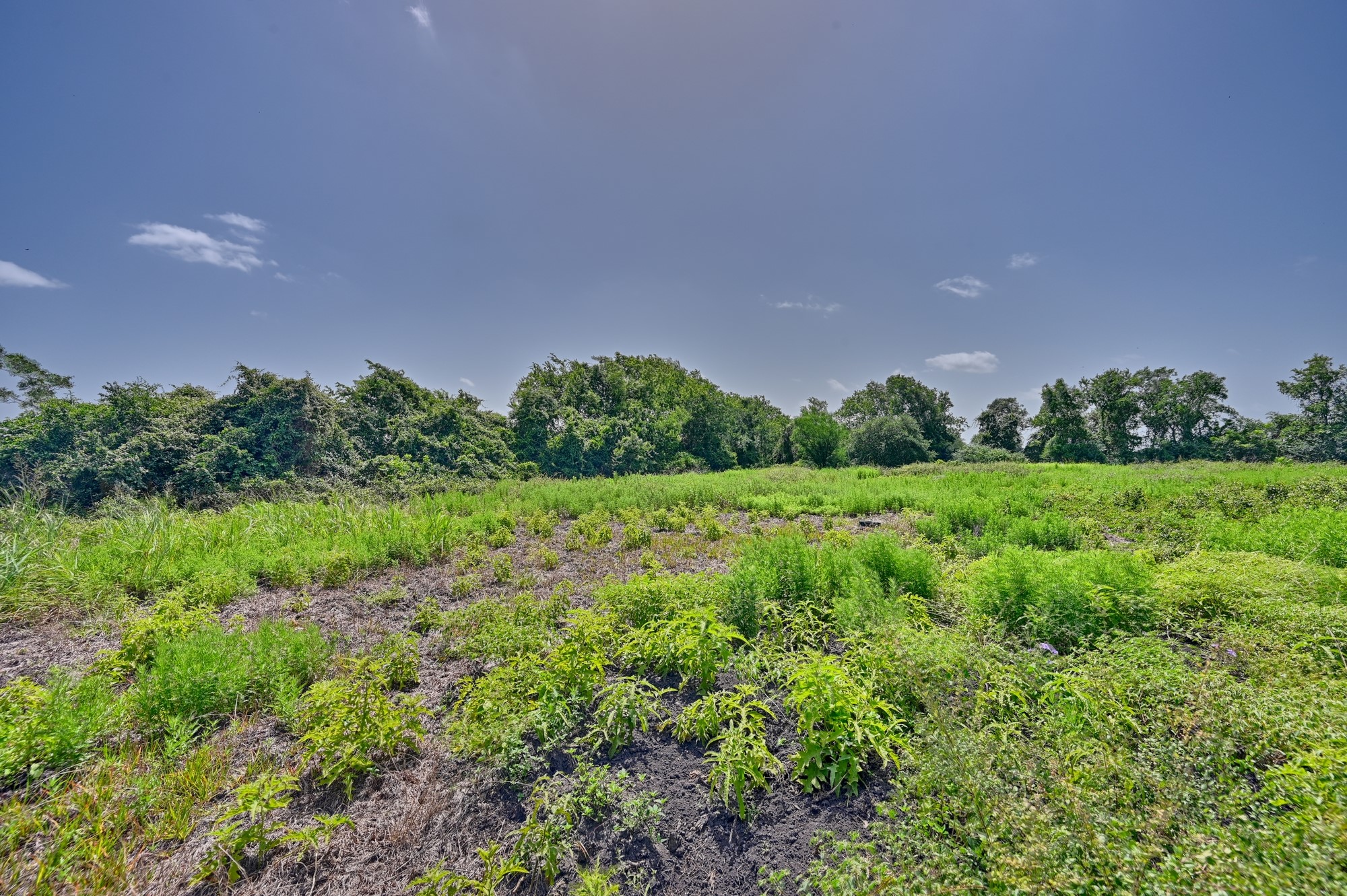 Tbd Fm 2981 Property Photo 12