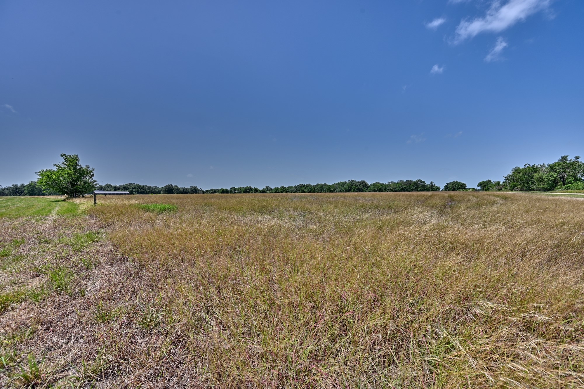 Tbd Fm 2981 Property Photo 15
