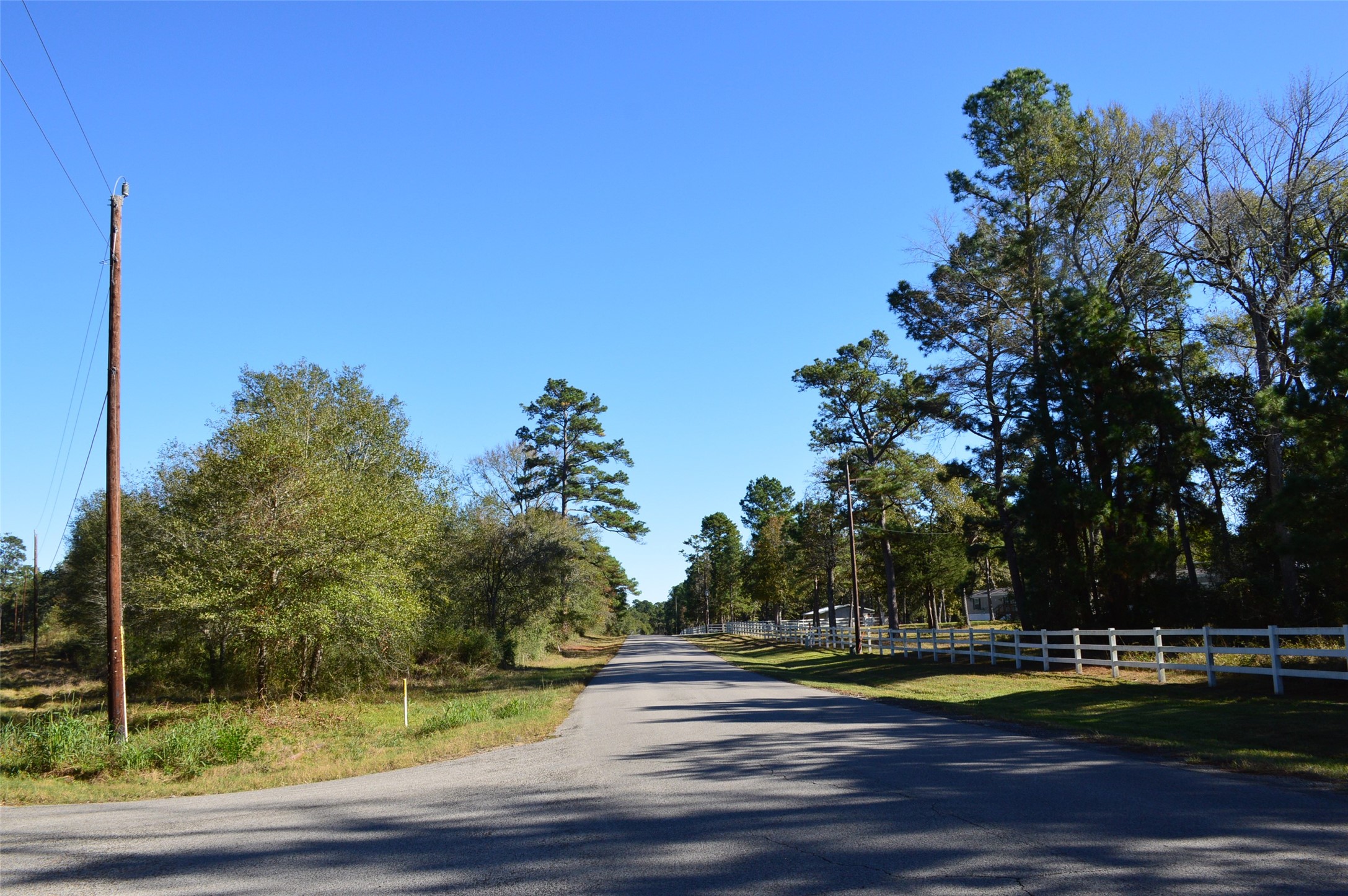 Tract #1 County Road 302 Property Photo 1