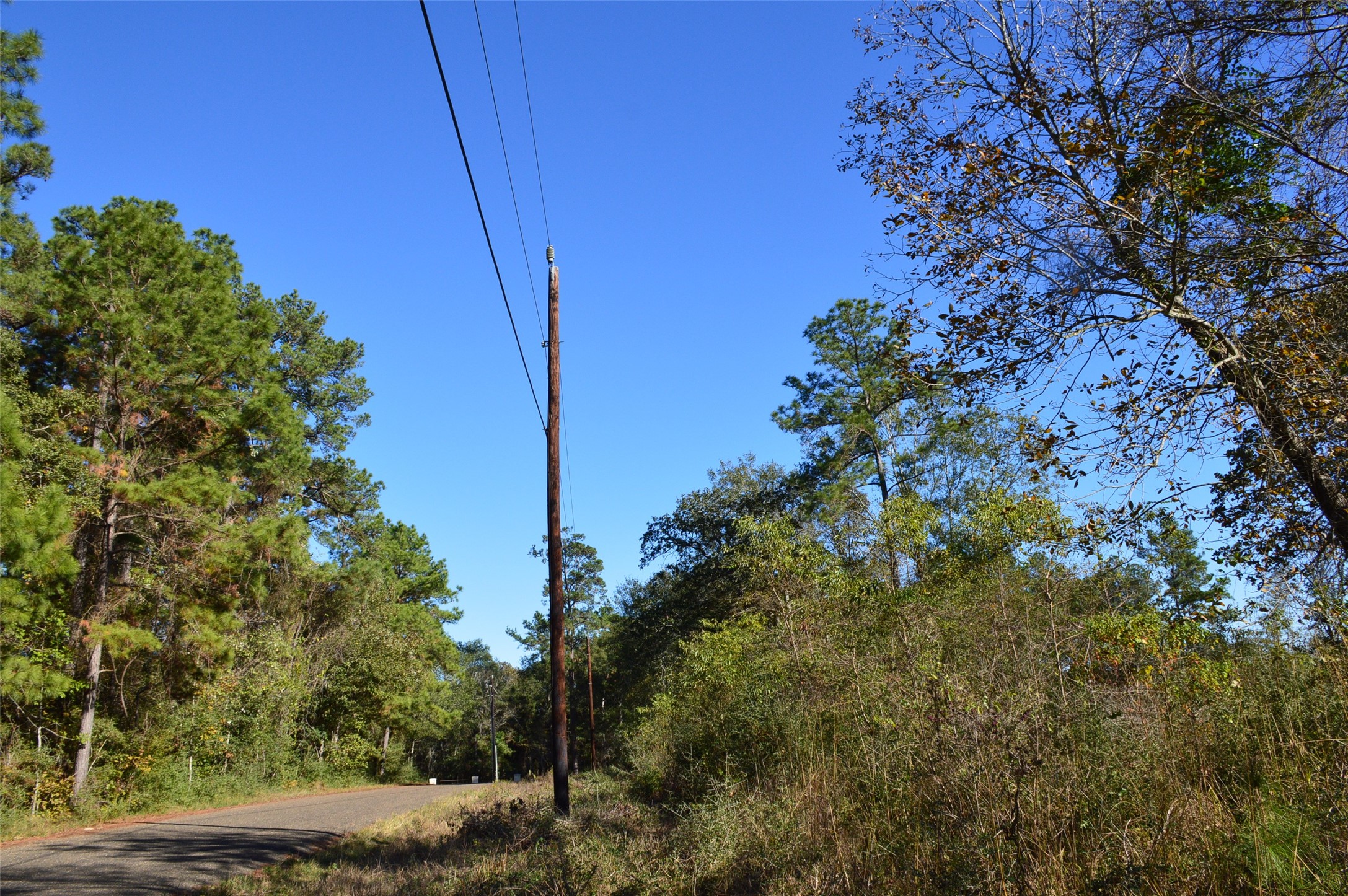 Tract #1 County Road 302 Property Photo 11