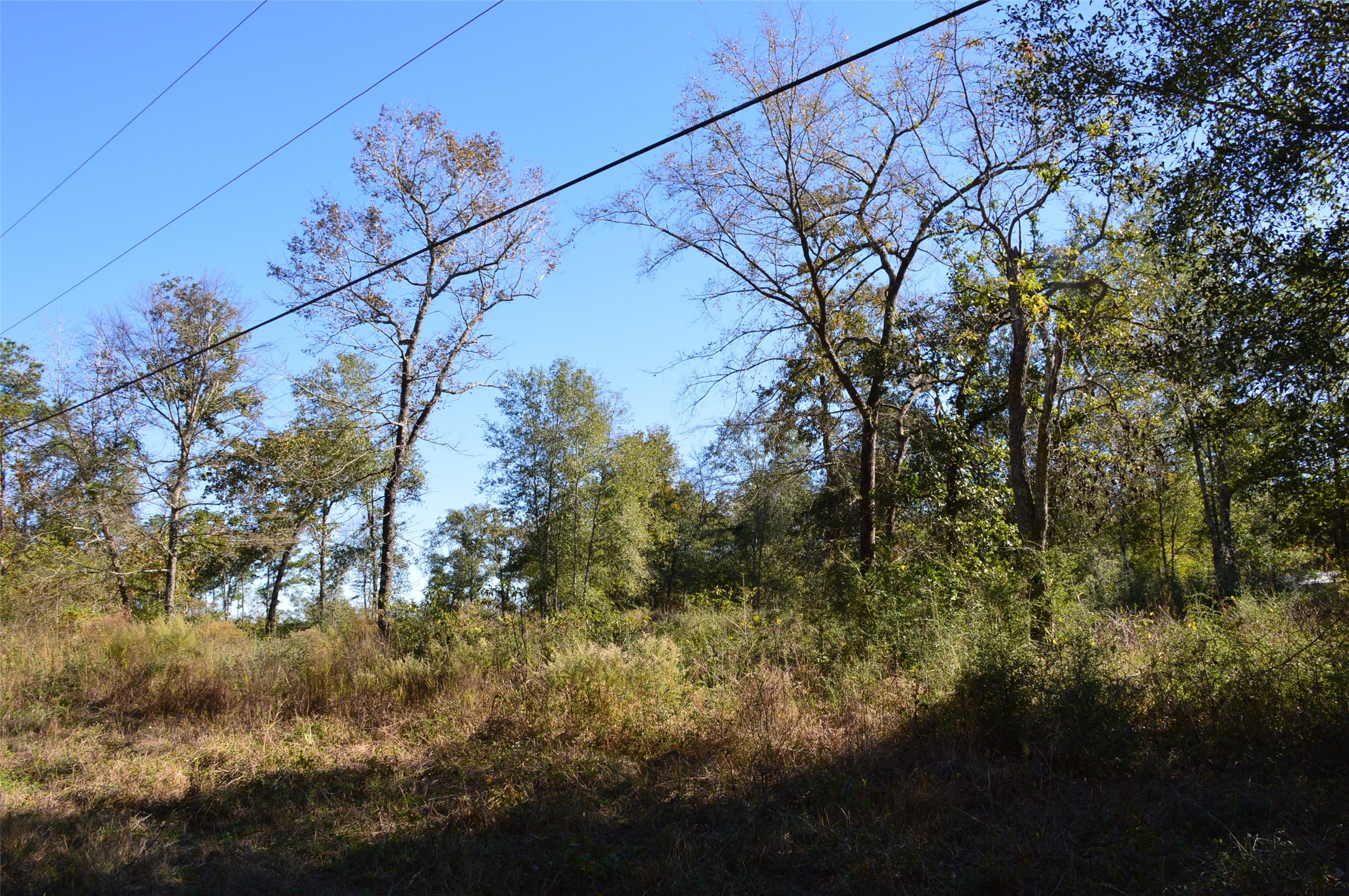 Tract #1 County Road 302 Property Photo 14