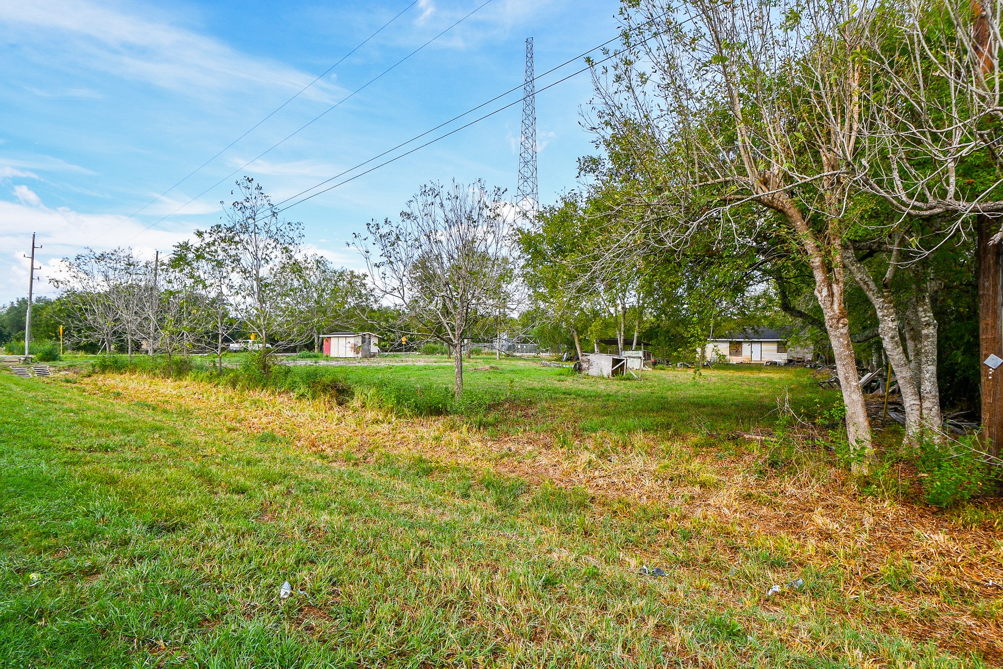 11601 Fm 2759 Road Property Photo 12