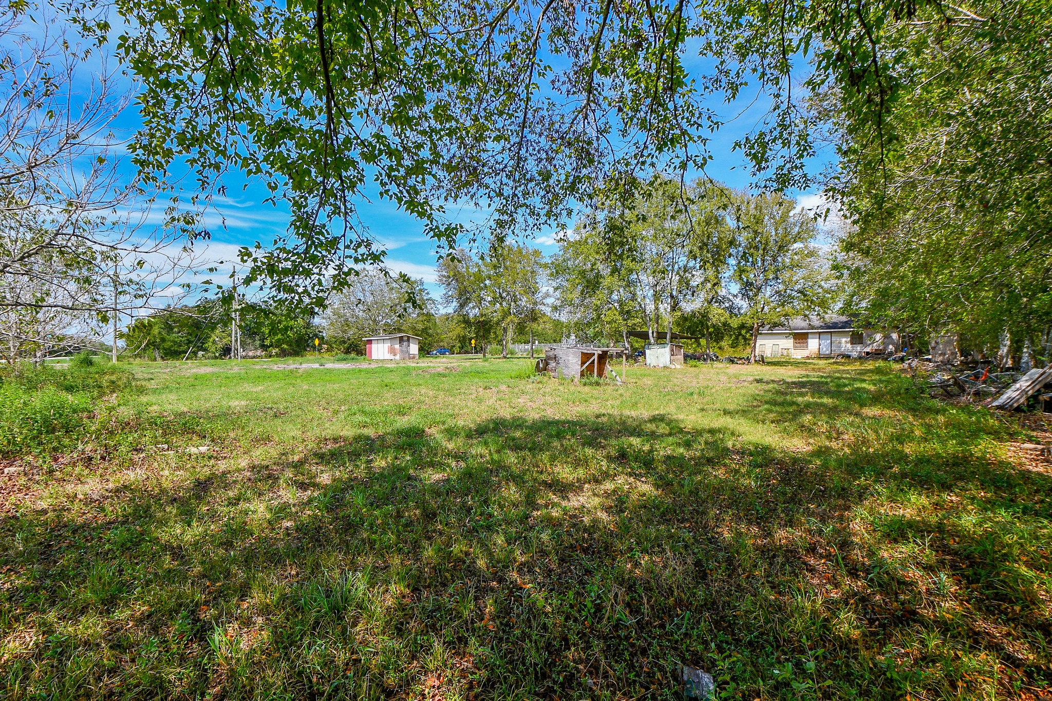 11601 Fm 2759 Road Property Photo 16