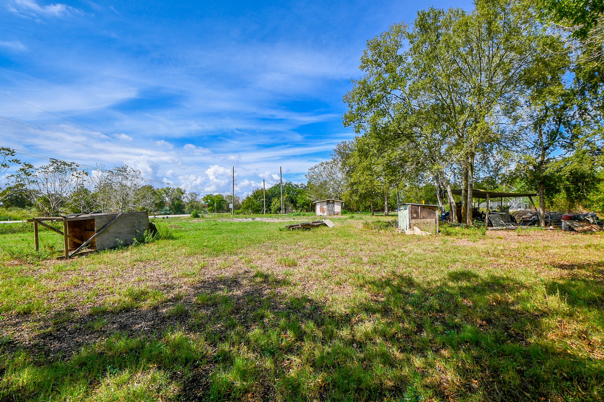 11601 Fm 2759 Road Property Photo 17
