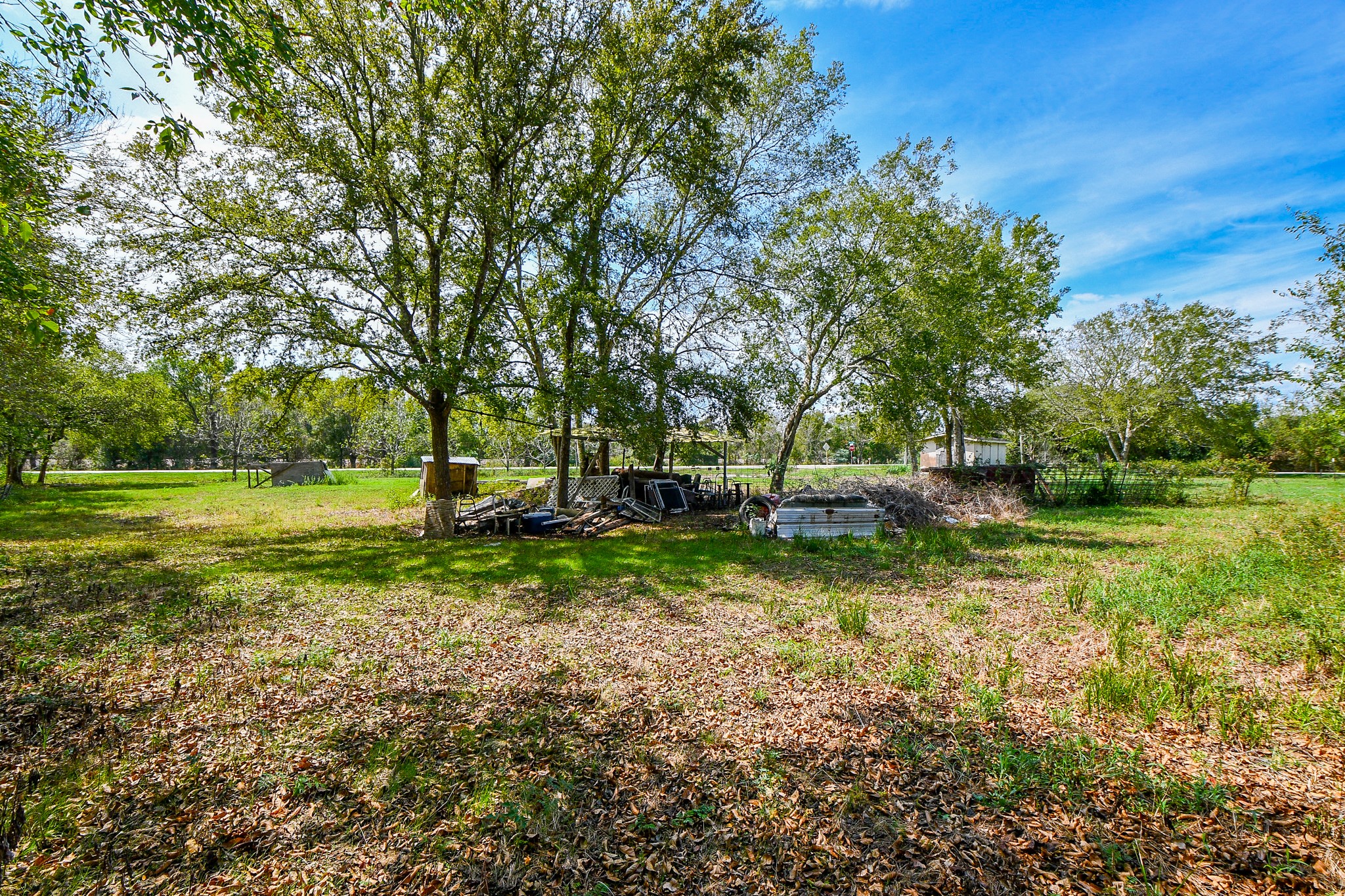 11601 Fm 2759 Road Property Photo 20