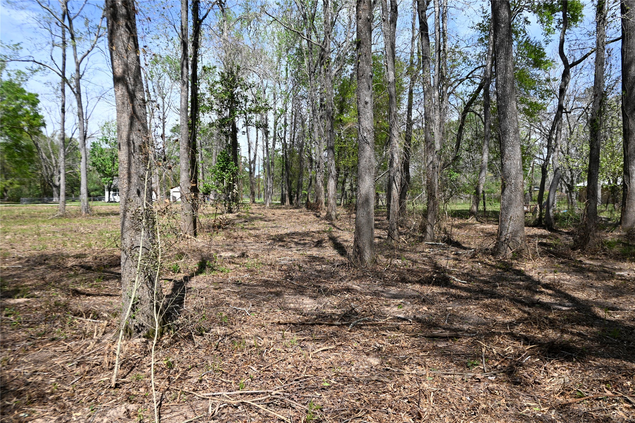 Lot 6 County Road 2360 Property Photo 3