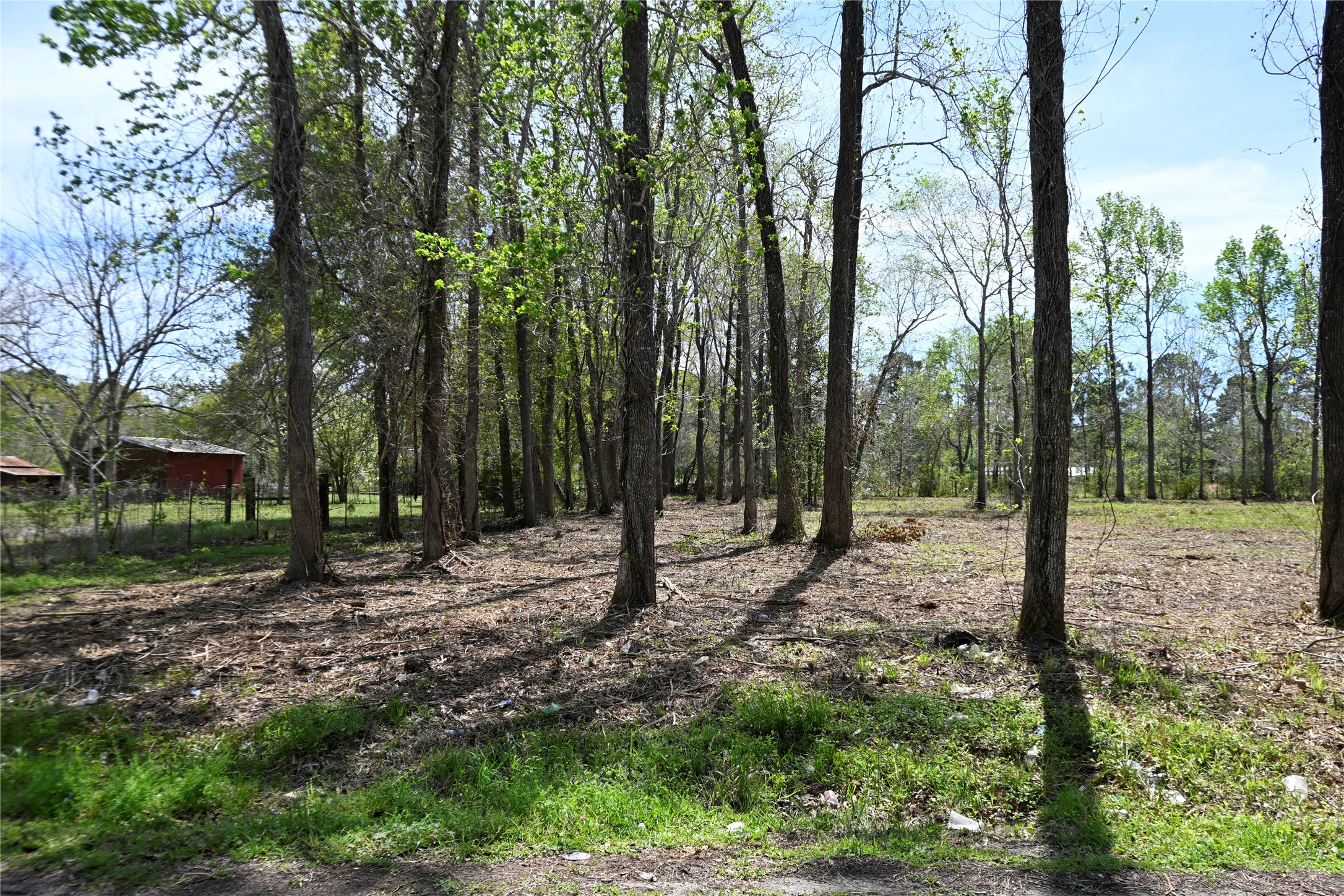 Lot 6 County Road 2360 Property Photo 4