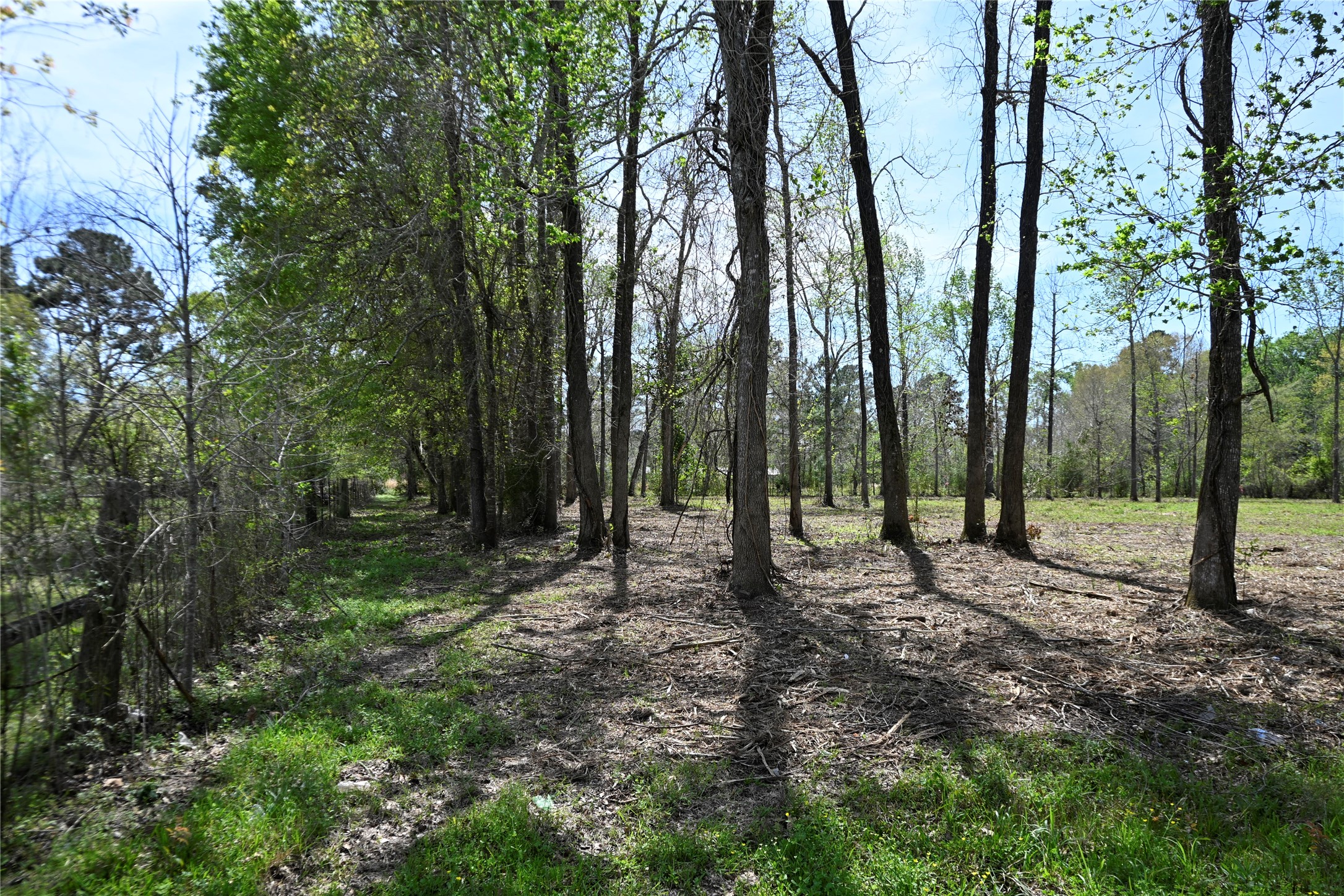 Lot 6 County Road 2360 Property Photo 5