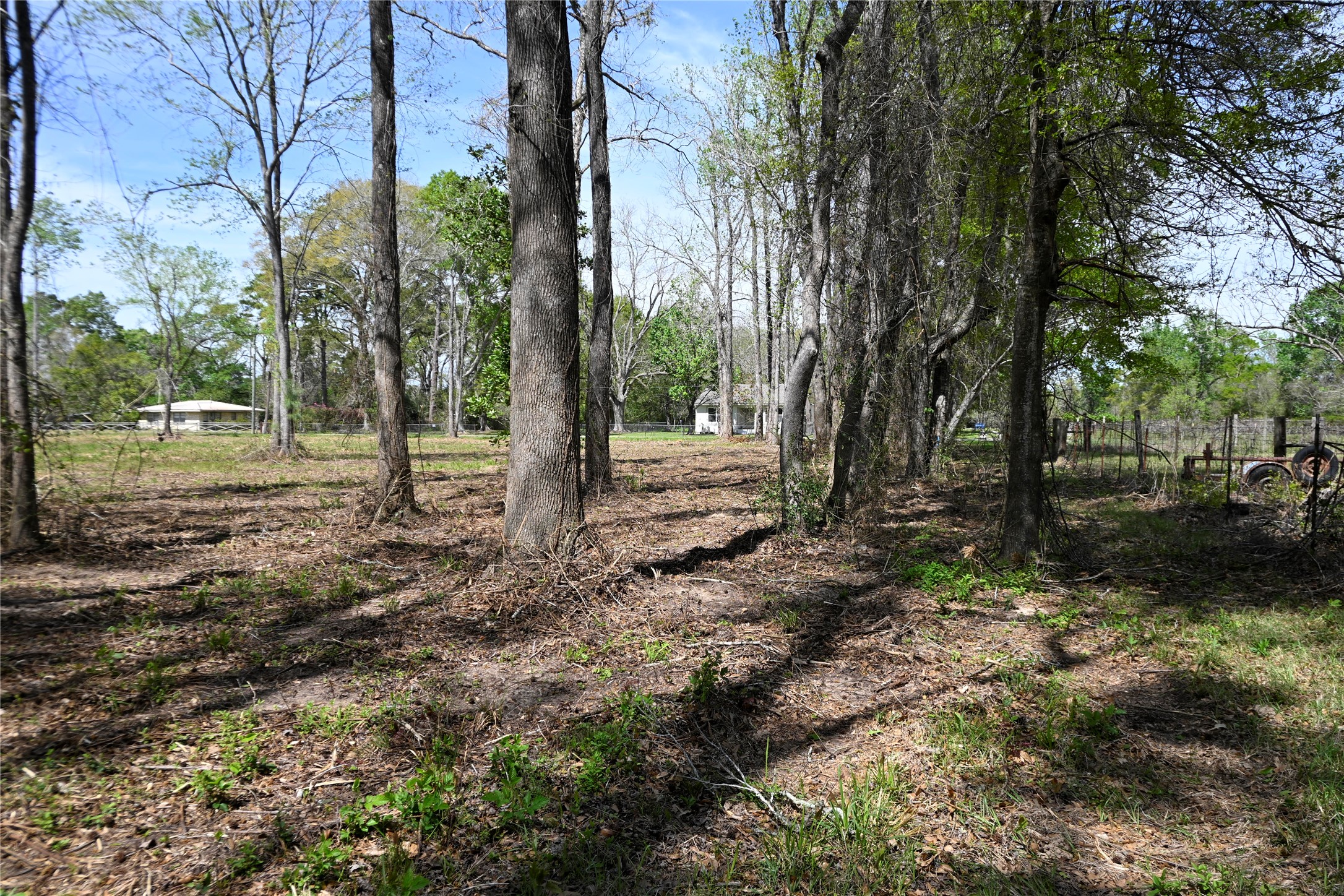Lot 6 County Road 2360 Property Photo 6