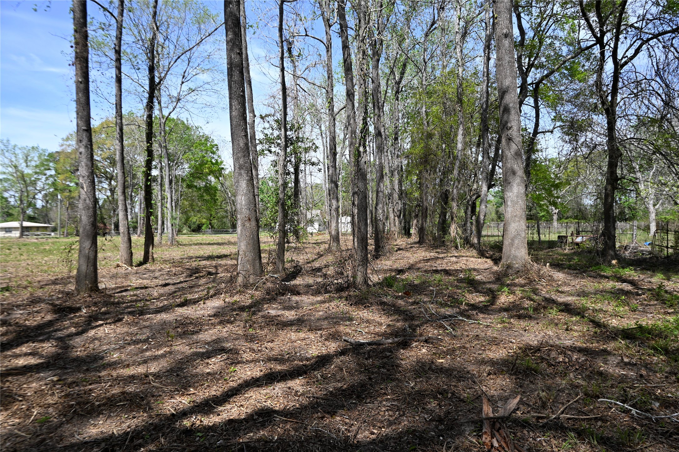 Lot 6 County Road 2360 Property Photo 8