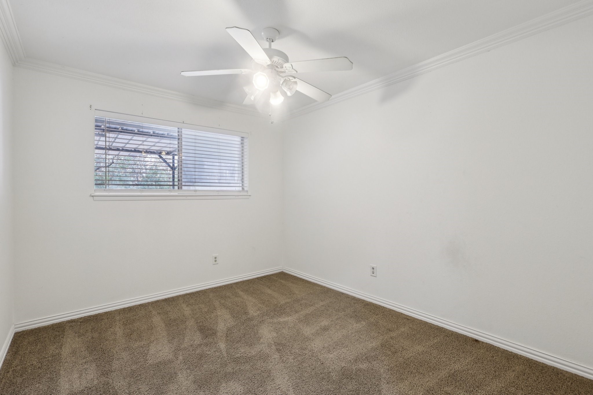 3919 Galway Lane Property Photo 15
