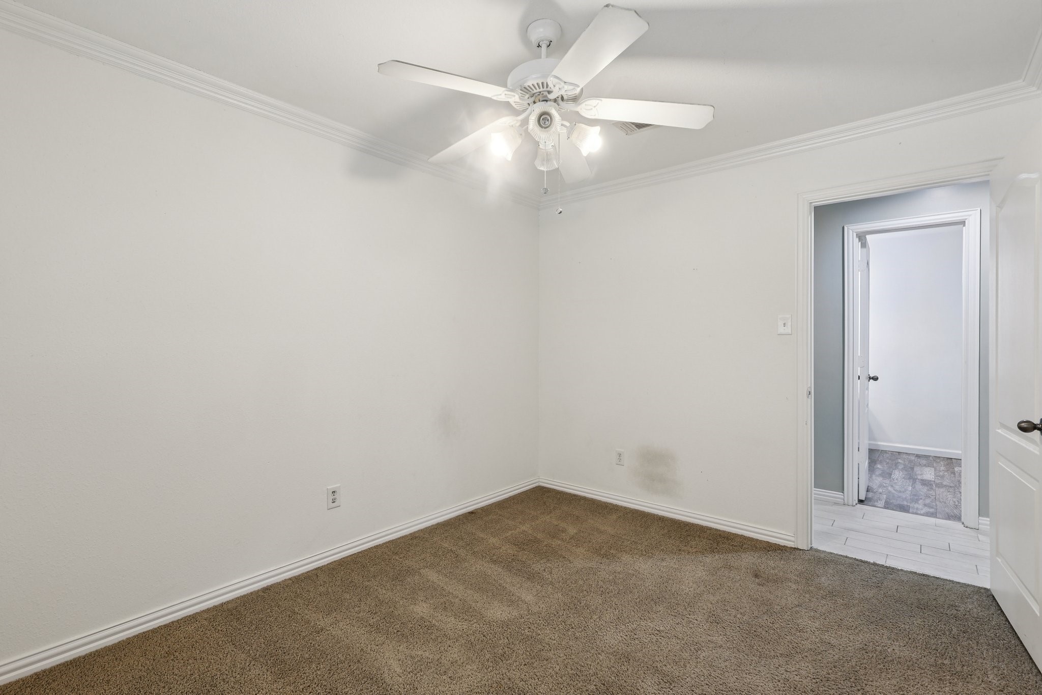 3919 Galway Lane Property Photo 16
