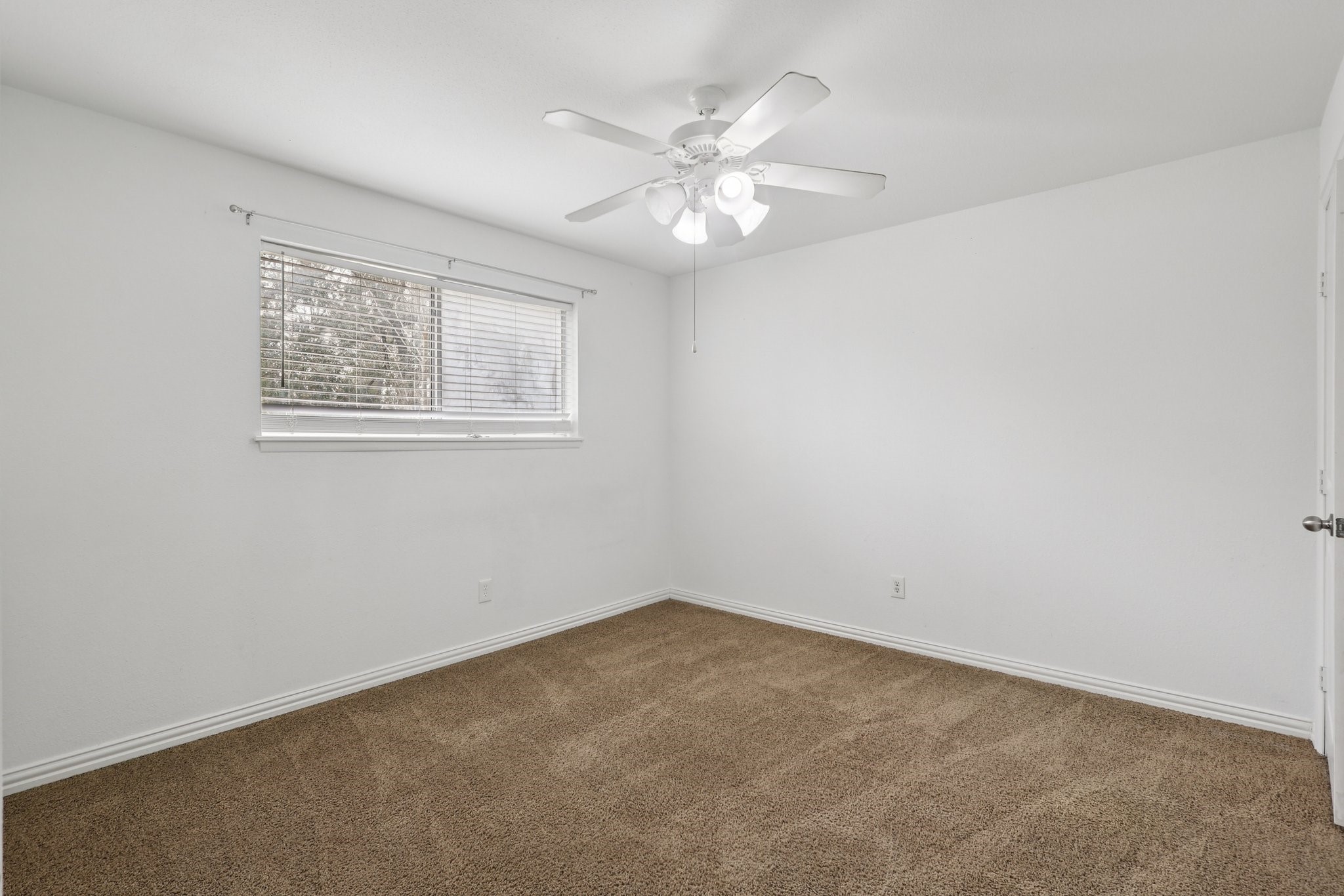 3919 Galway Lane Property Photo 19