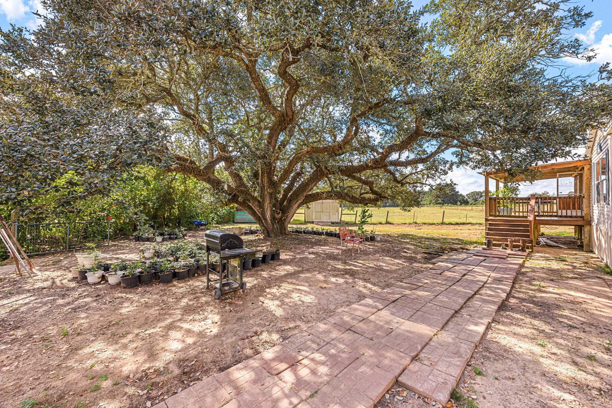 1925 County Road 2274 Property Photo 28