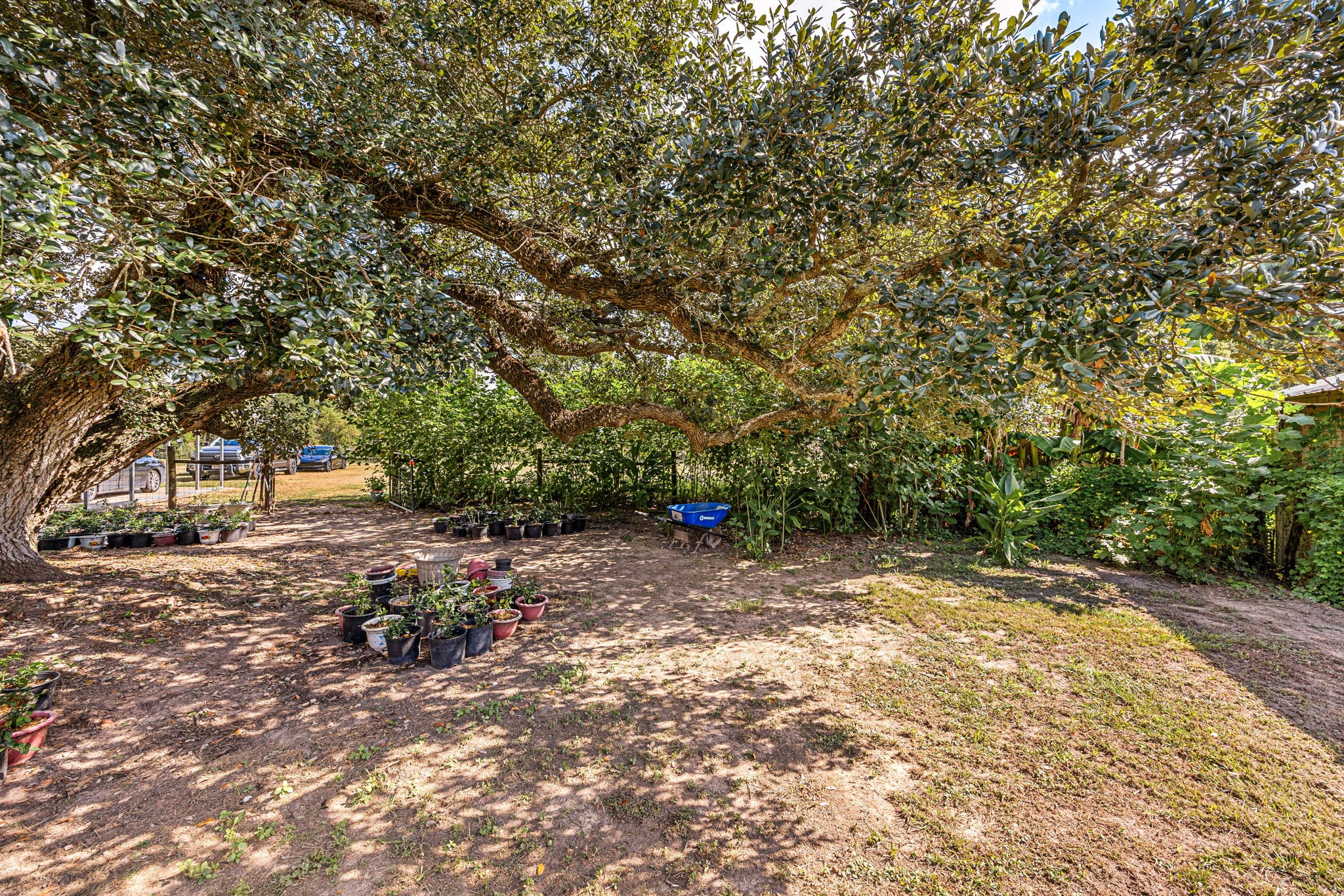 1925 County Road 2274 Property Photo 30