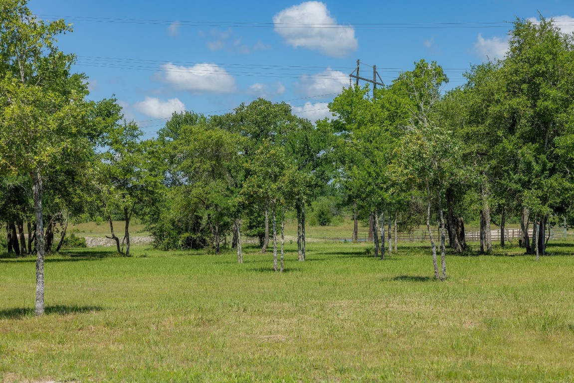 6731 Atakapan Trail Property Photo 1