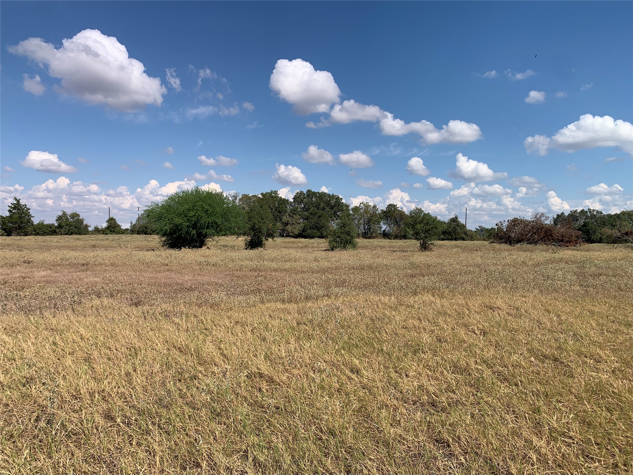 Tbd2 Farm To Market Road 532 Property Photo 5