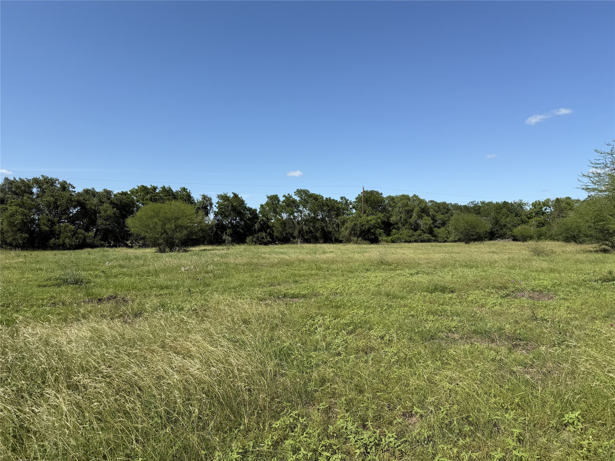 Tbd2 Farm To Market Road 532 Property Photo 6