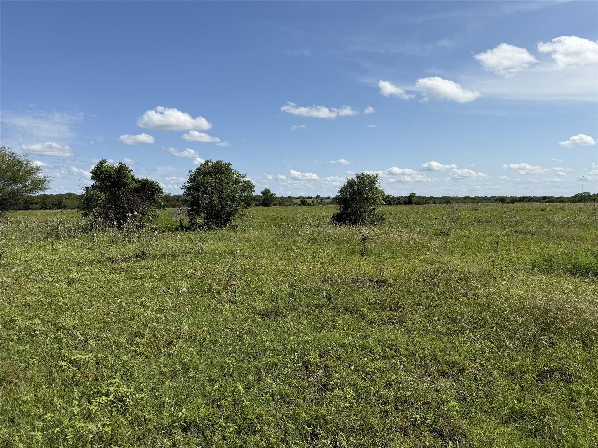 Tbd2 Farm To Market Road 532 Property Photo 7