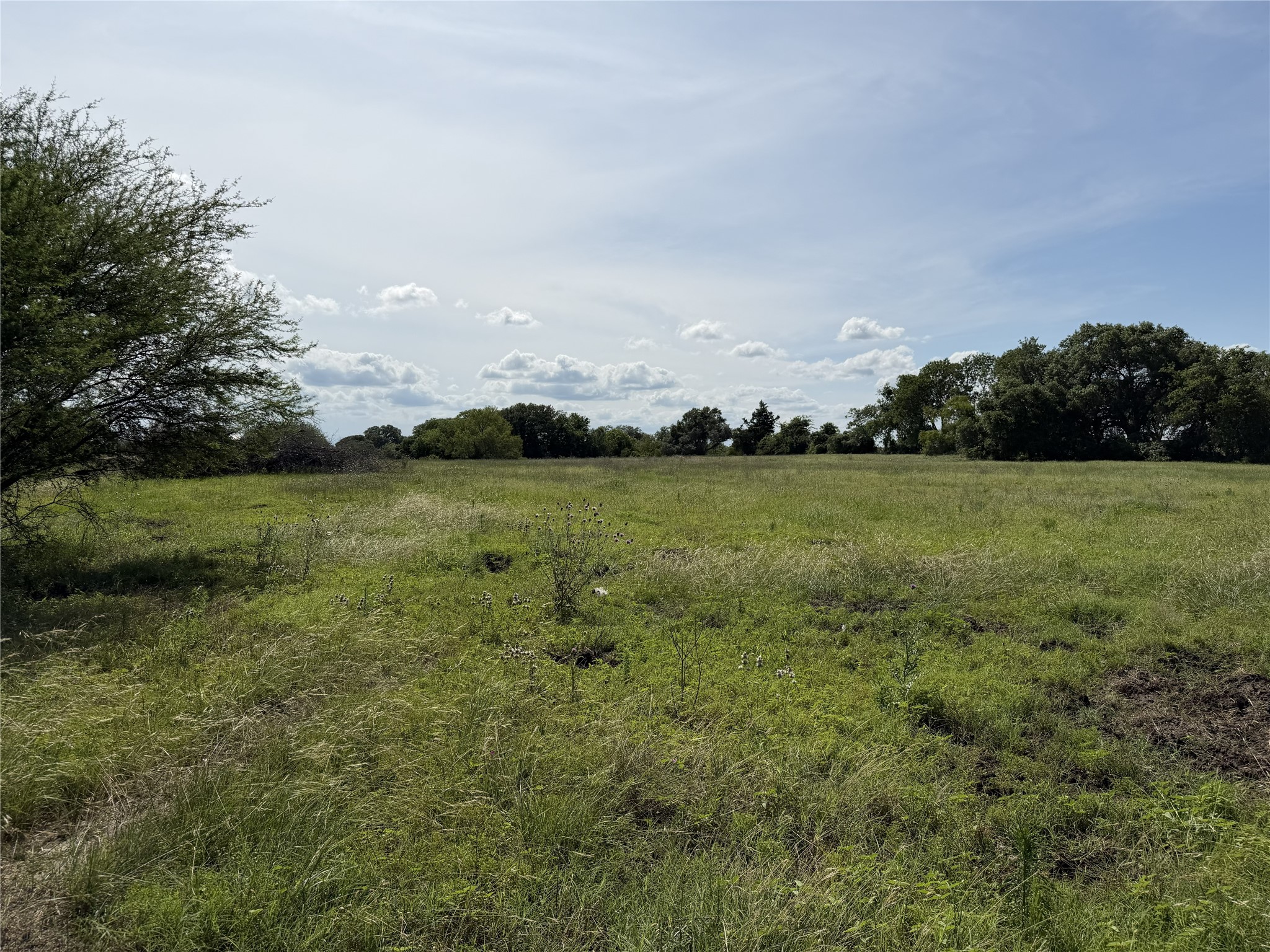 Tbd2 Farm To Market Road 532 Property Photo 9
