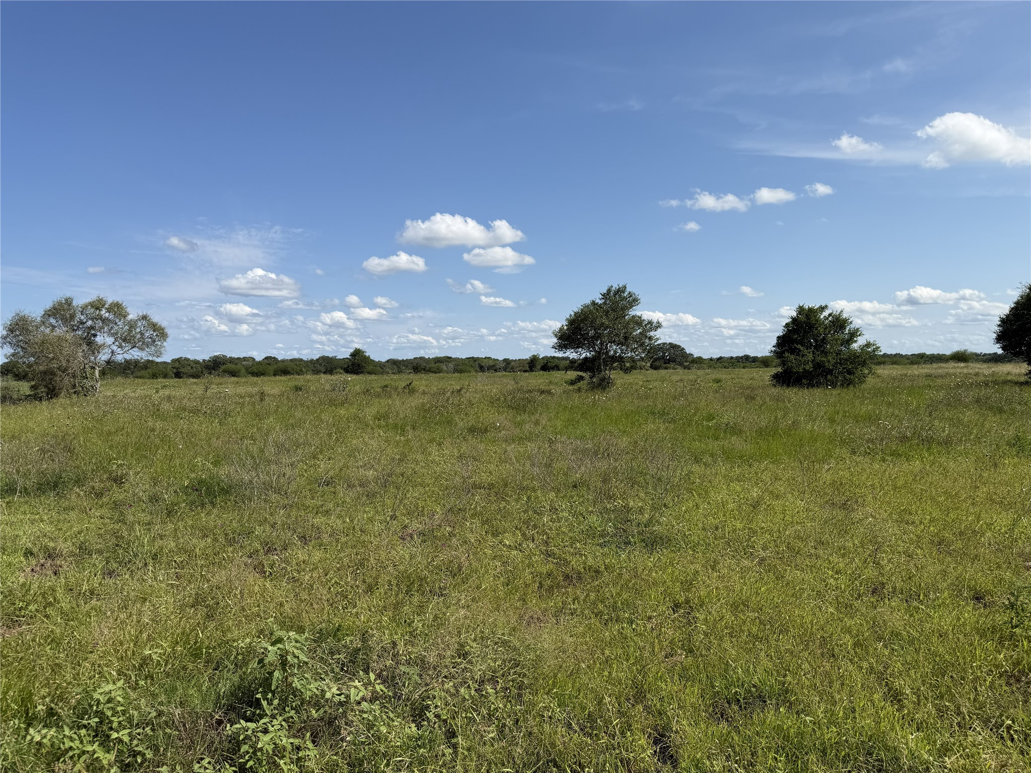 Tbd2 Farm To Market Road 532 Property Photo 11