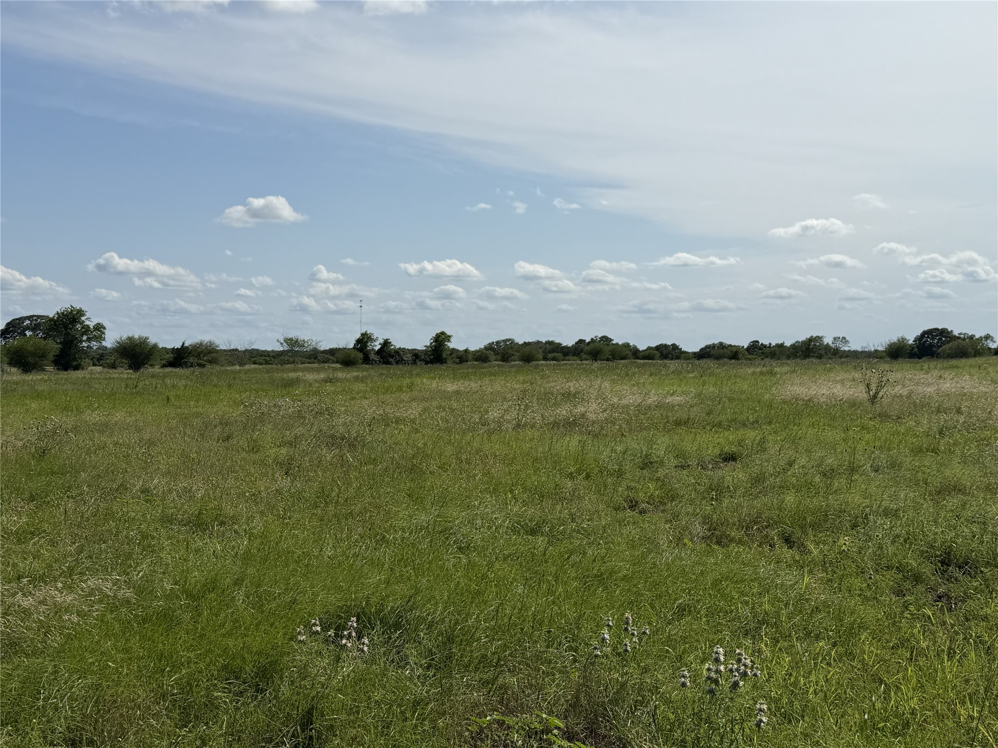 Tbd2 Farm To Market Road 532 Property Photo 12
