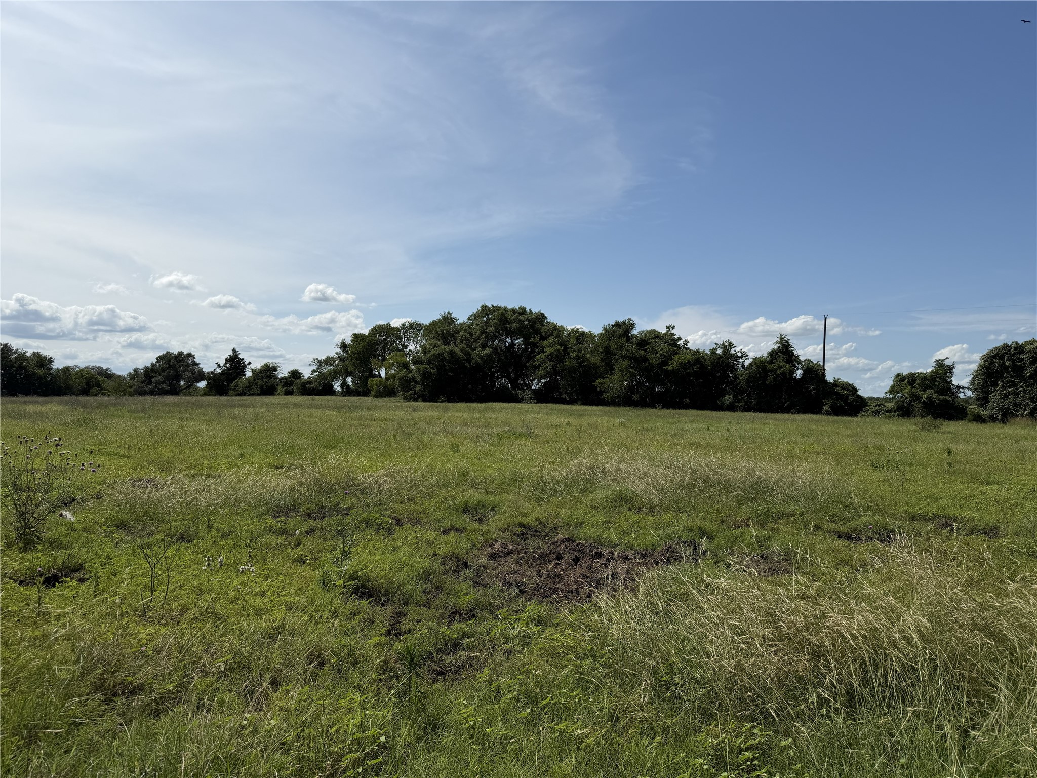 Tbd2 Farm To Market Road 532 Property Photo 13