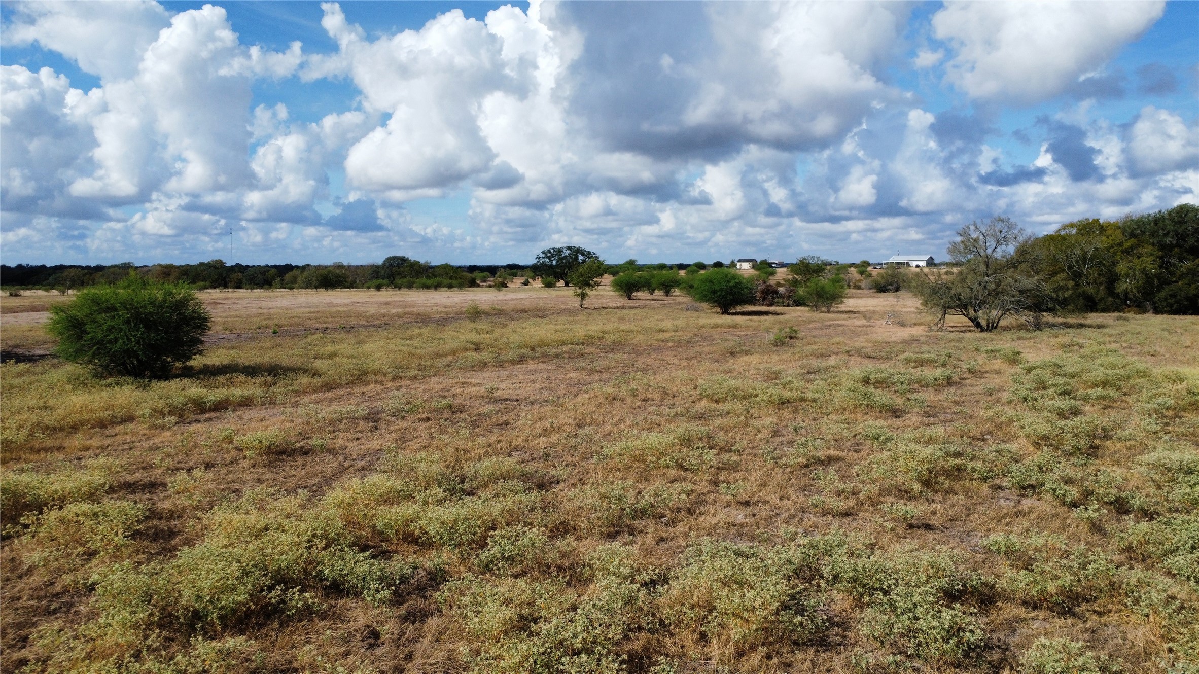 Tbd2 Farm To Market Road 532 Property Photo 14