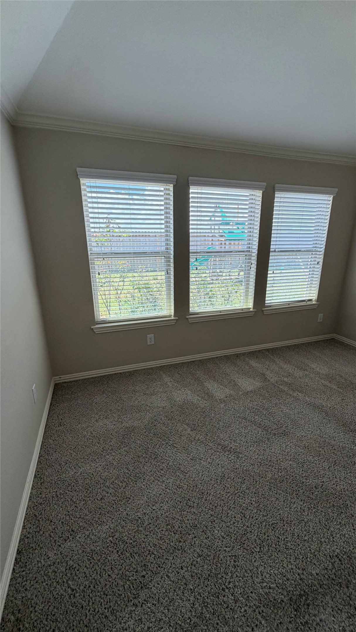 6750 Trinity Trail Lane Property Photo 14