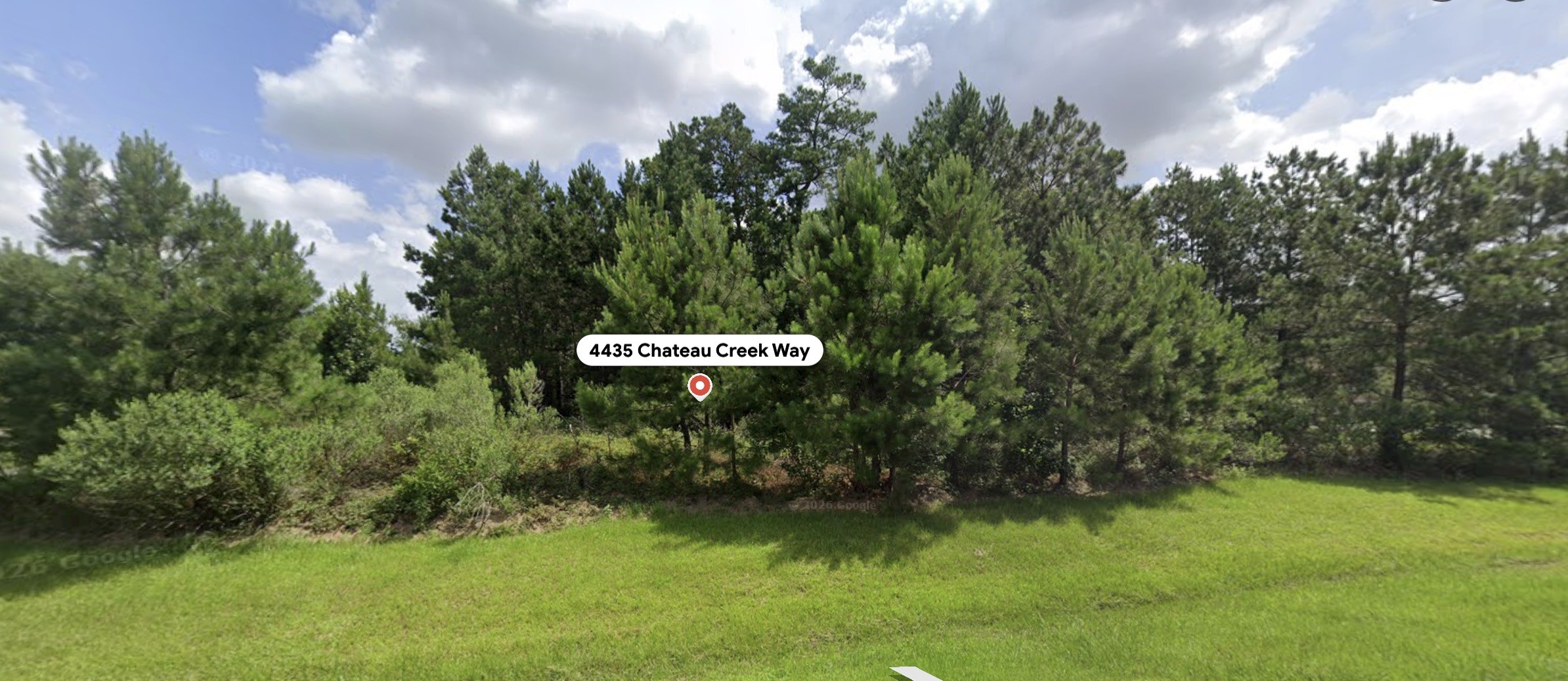 4435 Chateau Creek Way Property Photo 2