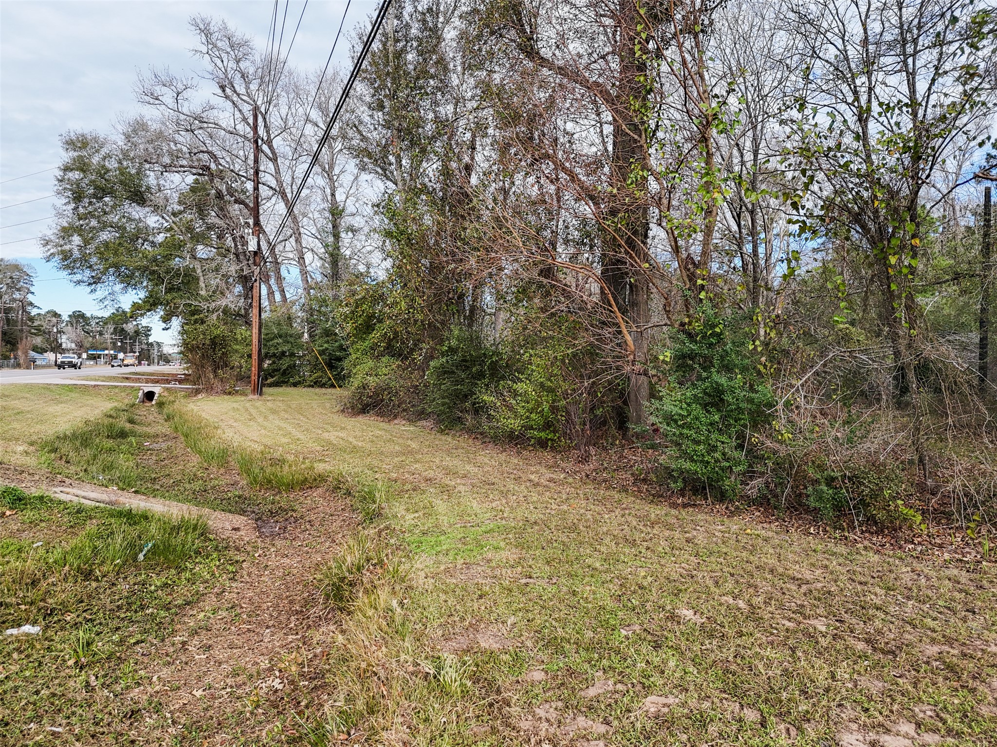16010 Fm 3083 Road Property Photo 3