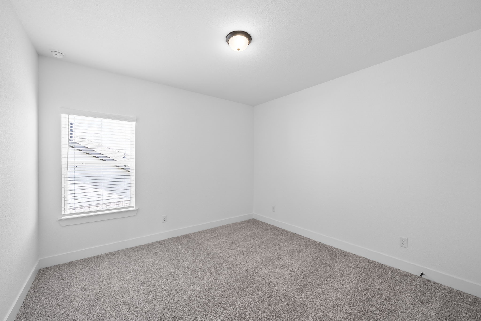 11302 Flower Petal Court Property Photo 29
