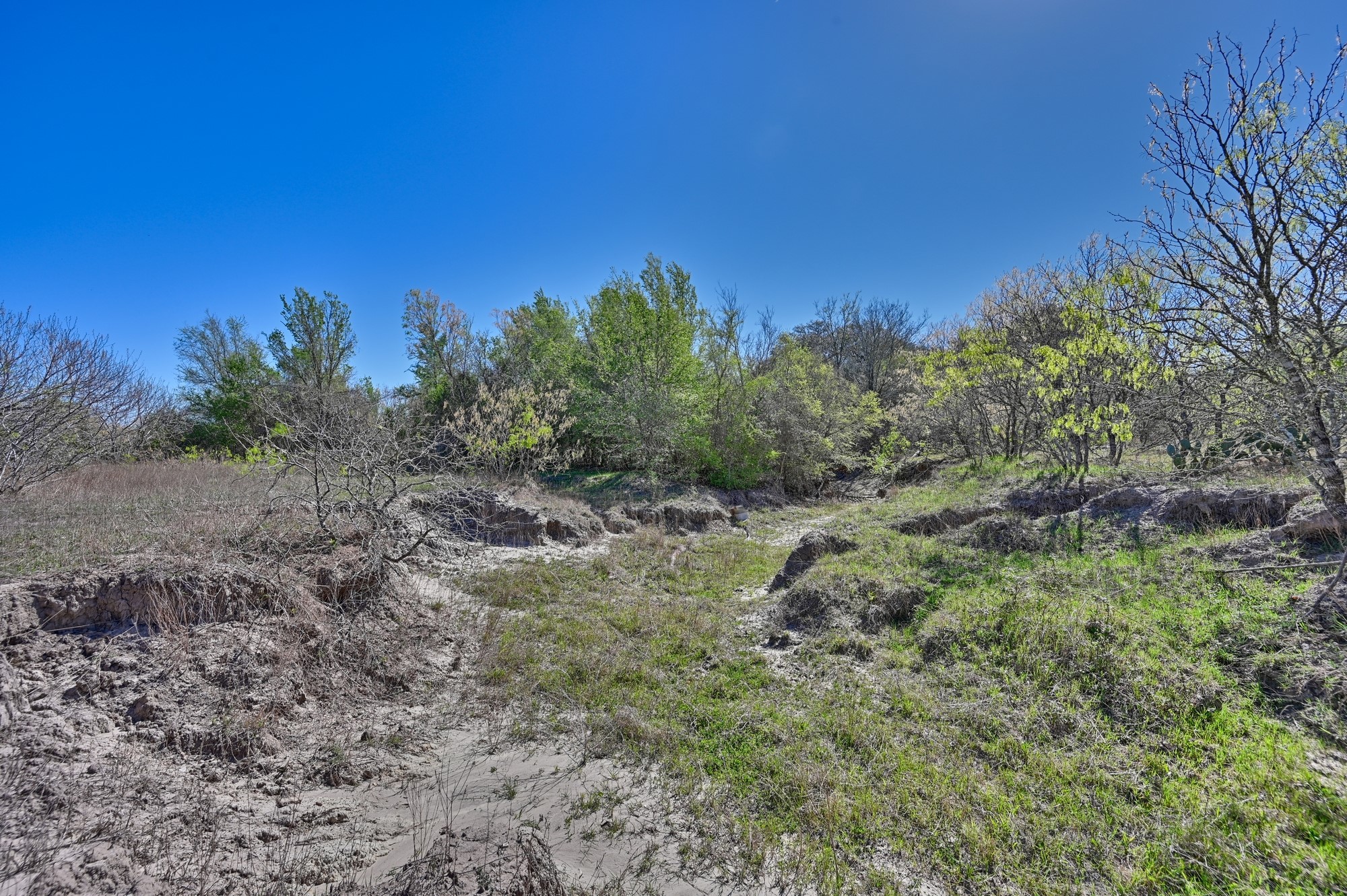 000 Cr 406 Property Photo 9