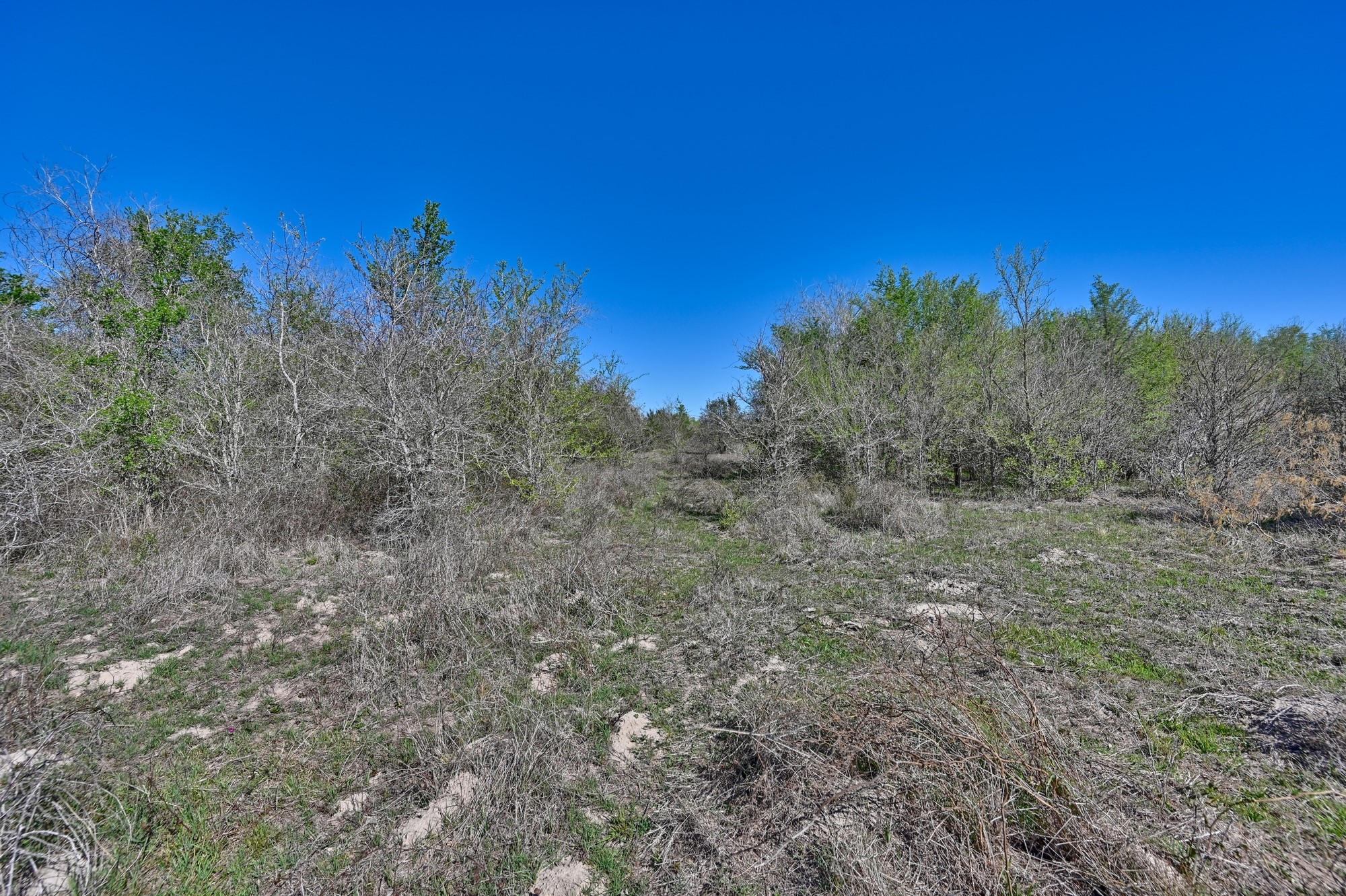 000 Cr 406 Property Photo 14