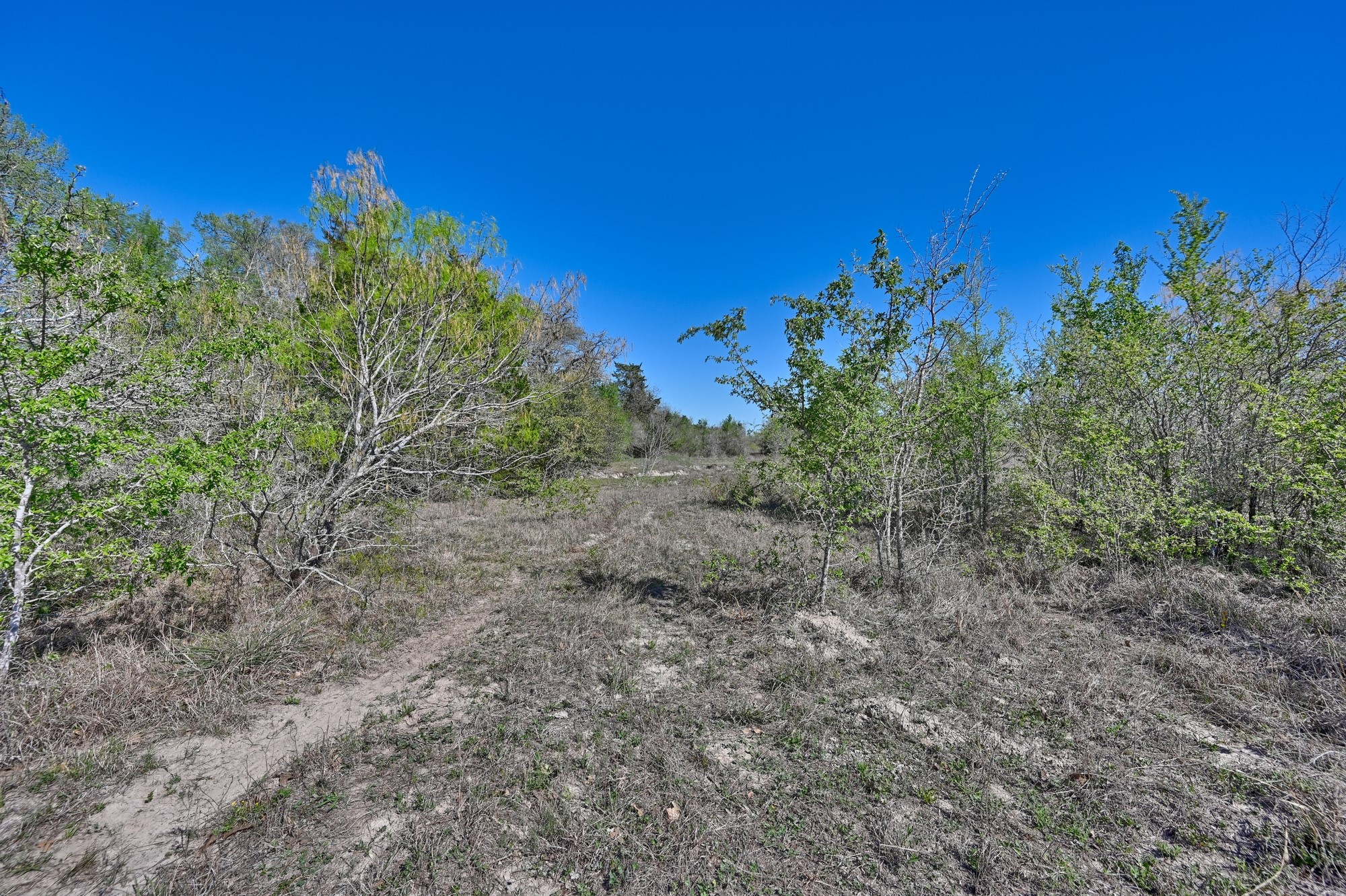 000 Cr 406 Property Photo 16