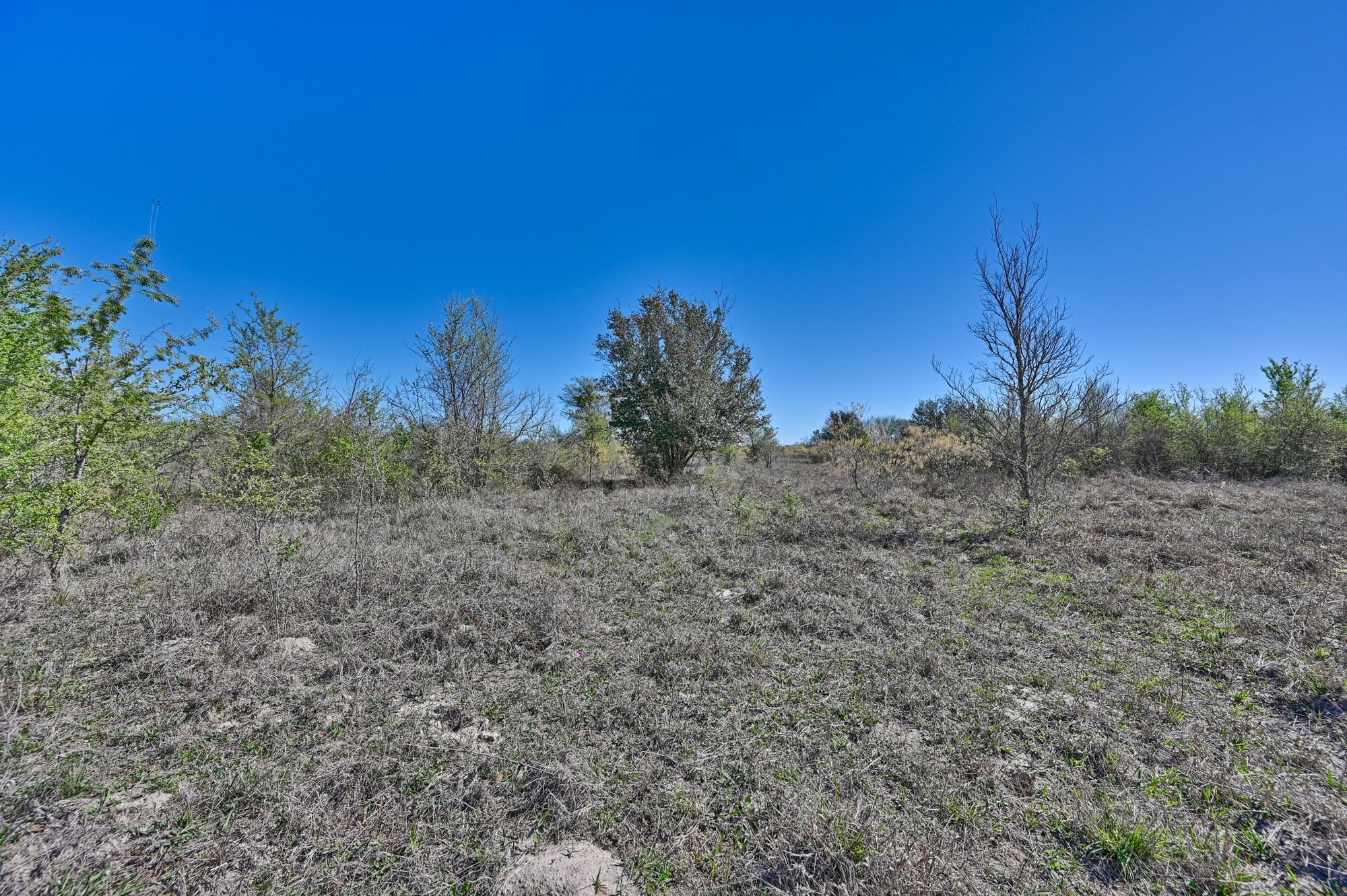 000 Cr 406 Property Photo 31