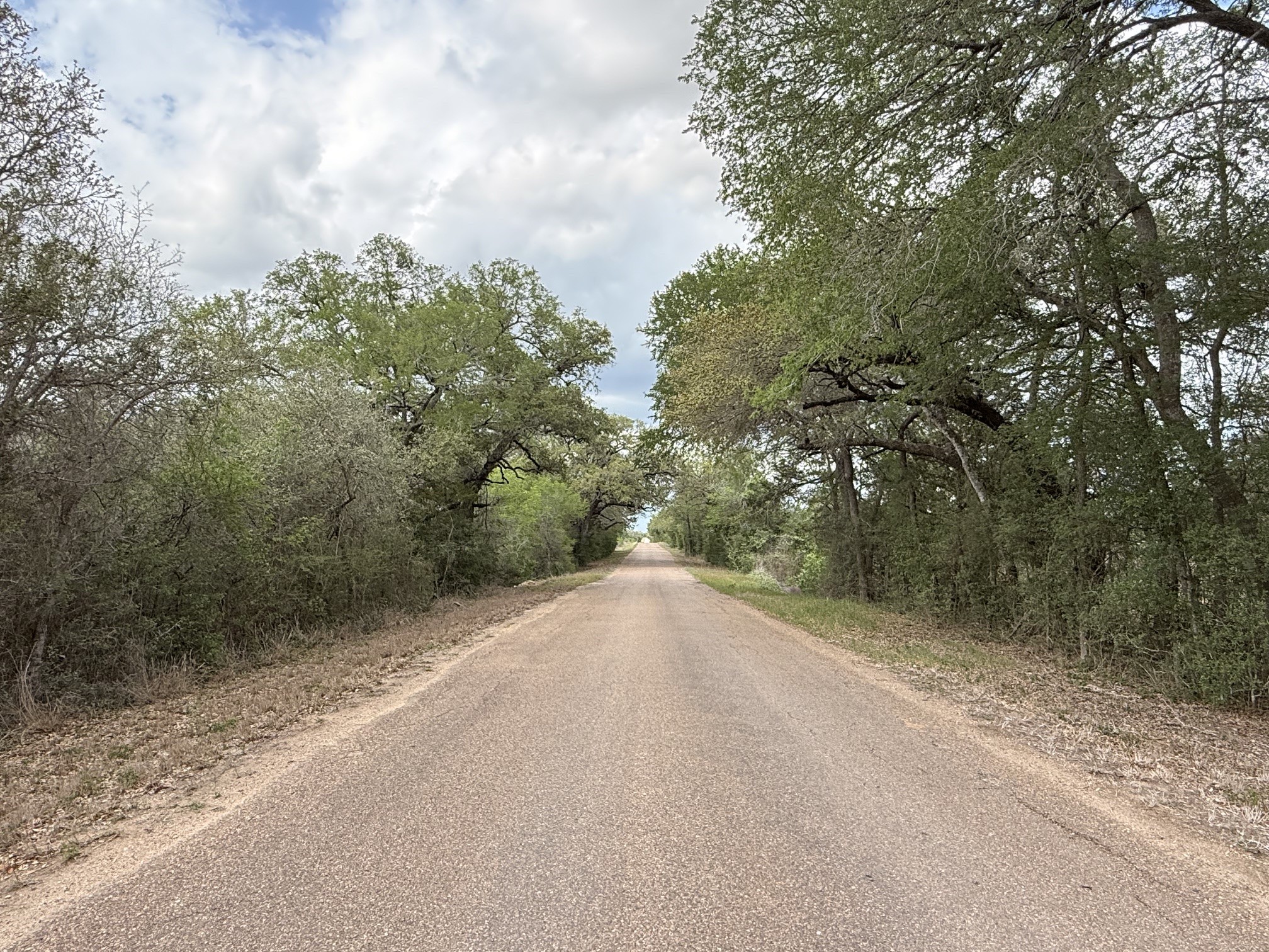 000 Cr 406 Property Photo 43