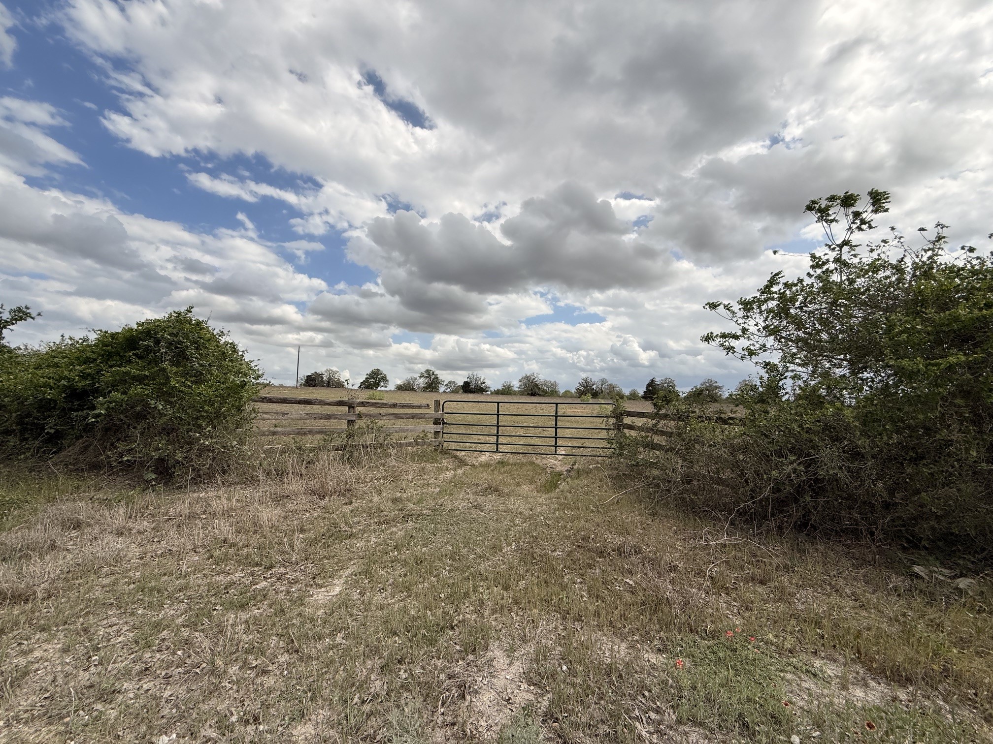 000 Cr 406 Property Photo 44