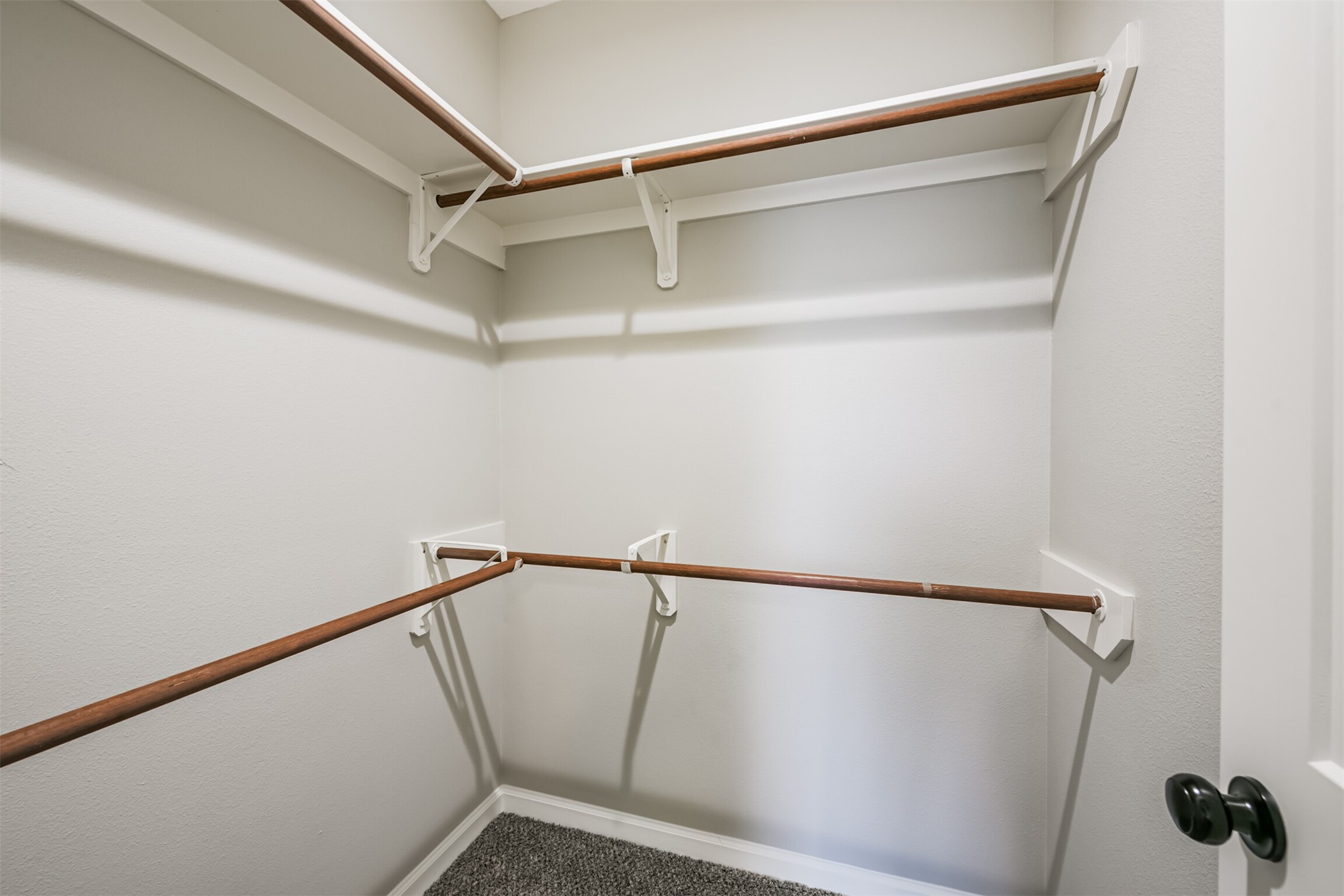 4405 Mallow Street B Property Photo 15