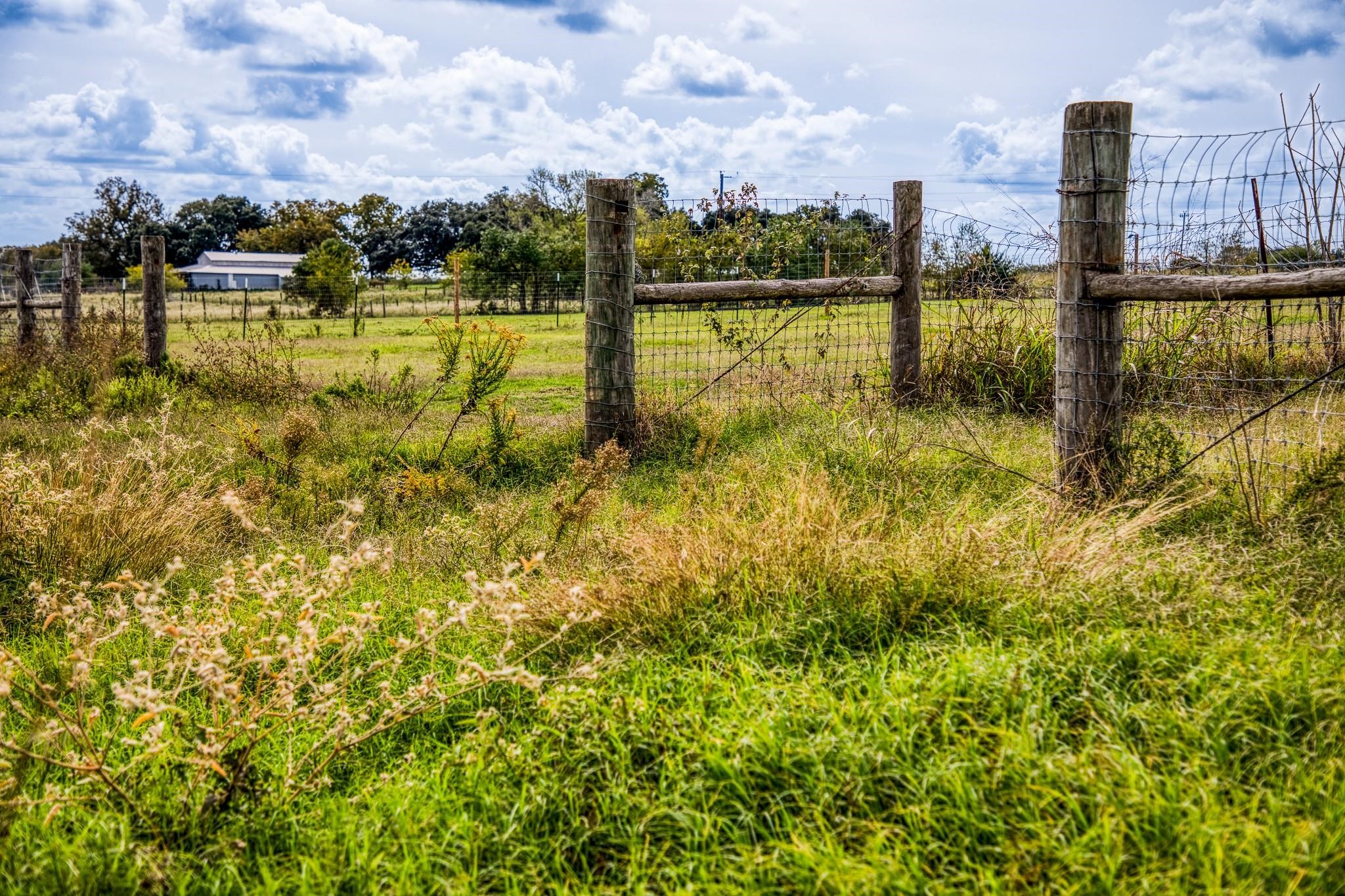 11234 N Loop Road Property Photo 40