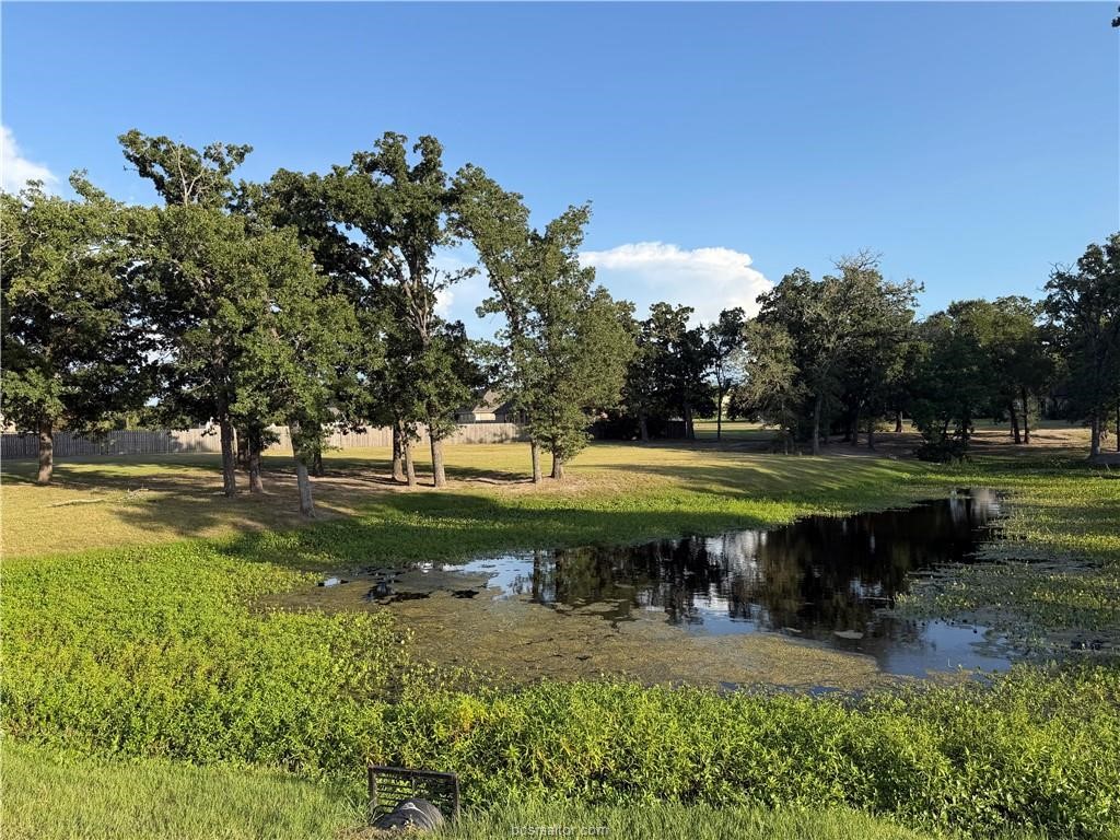 9901 Hunters Run Property Photo 1