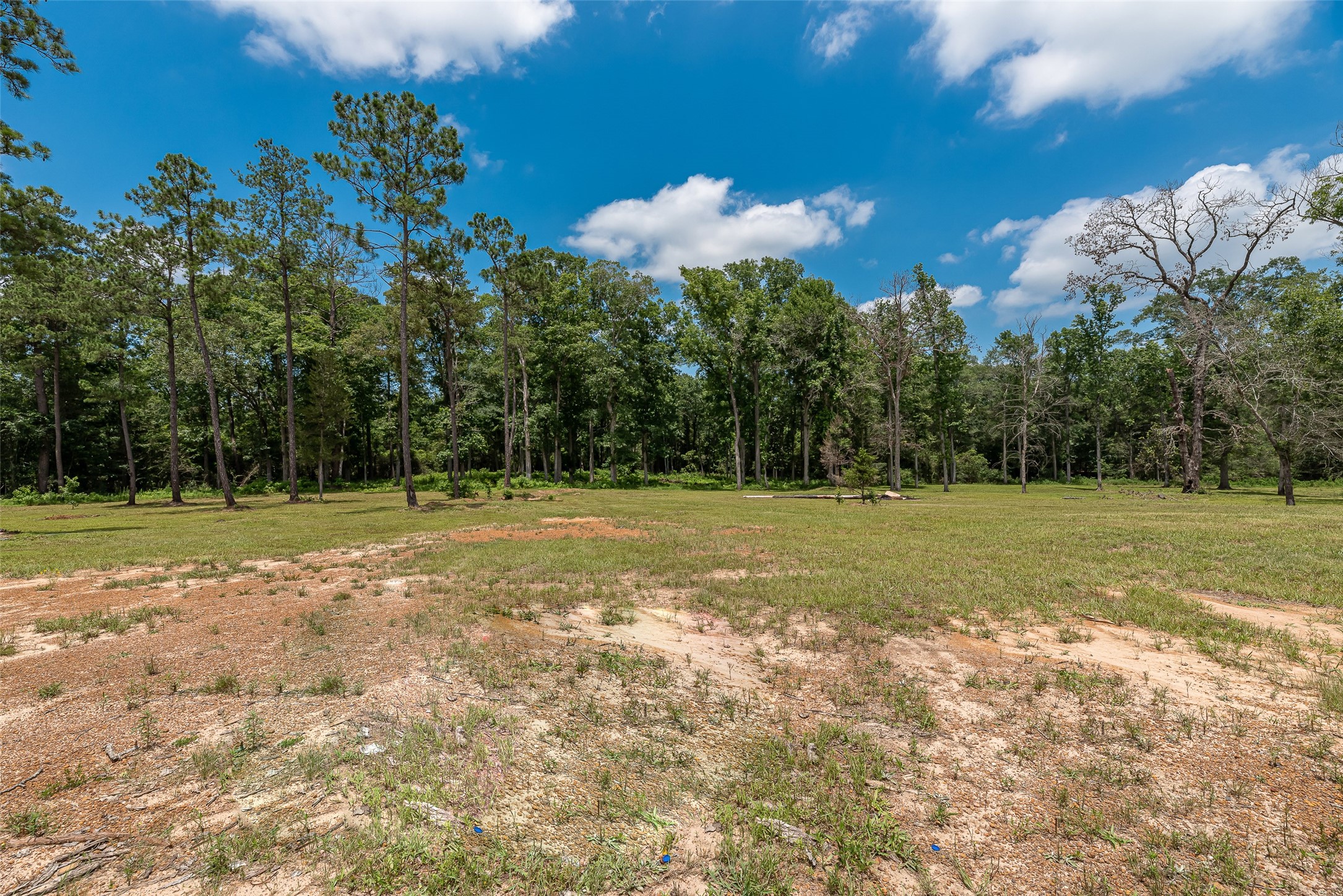 3130 Pine Road Property Photo 3