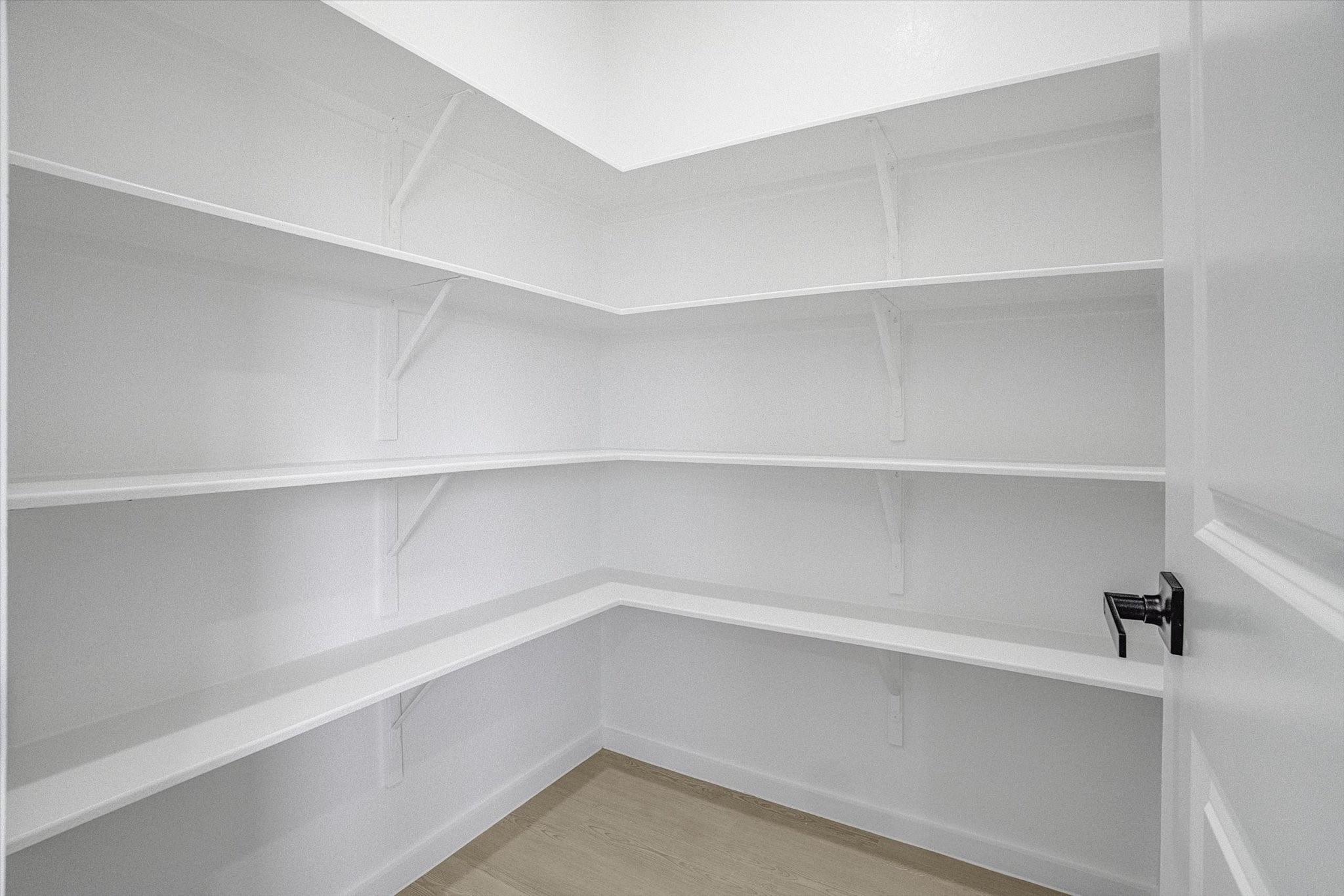 511 Louis Lane Property Photo 14