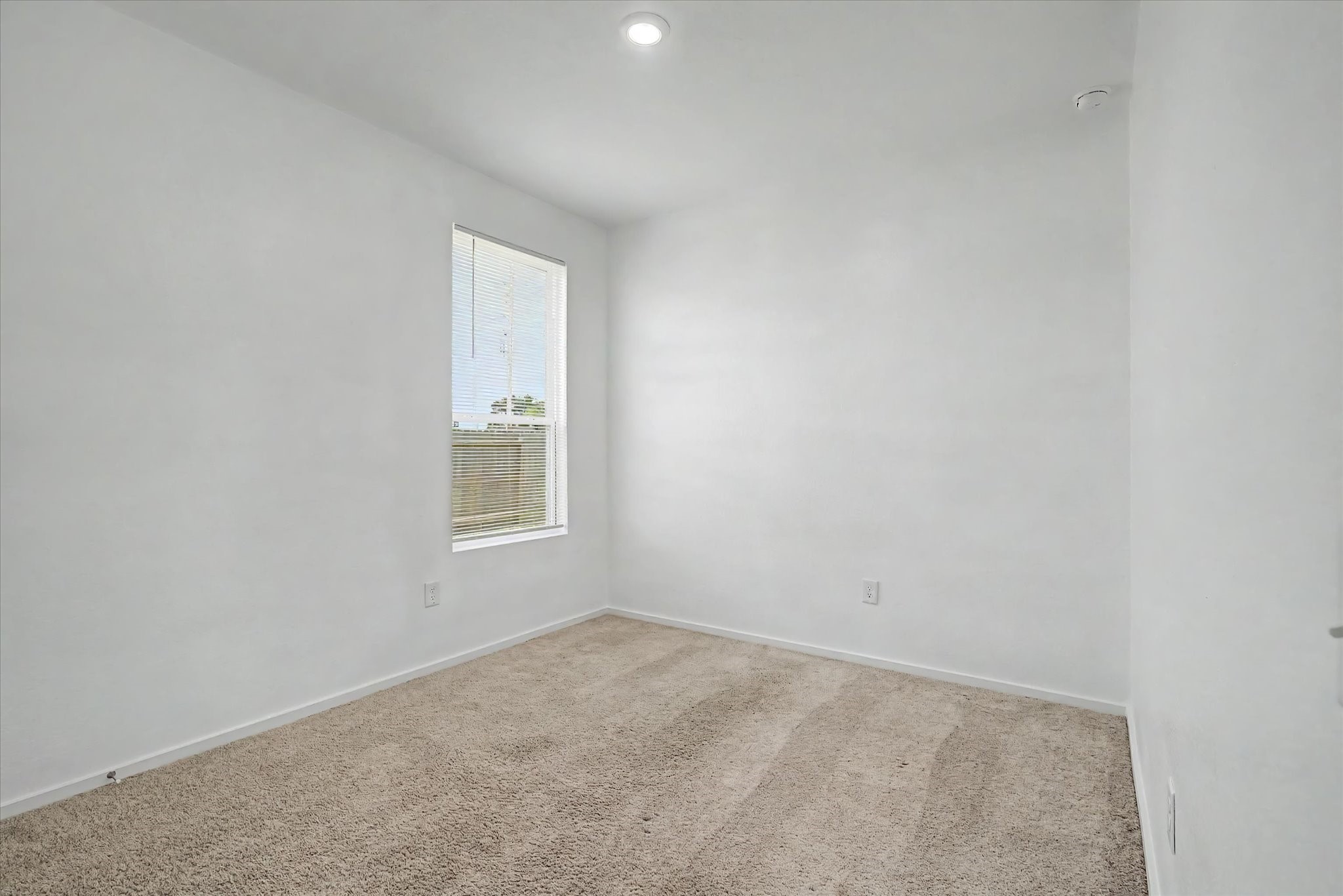 511 Louis Lane Property Photo 22