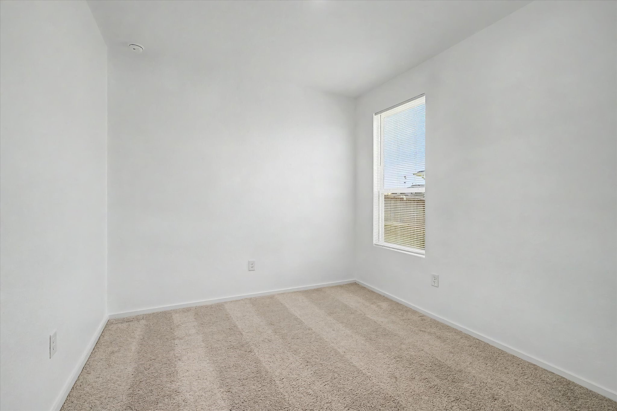 511 Louis Lane Property Photo 29