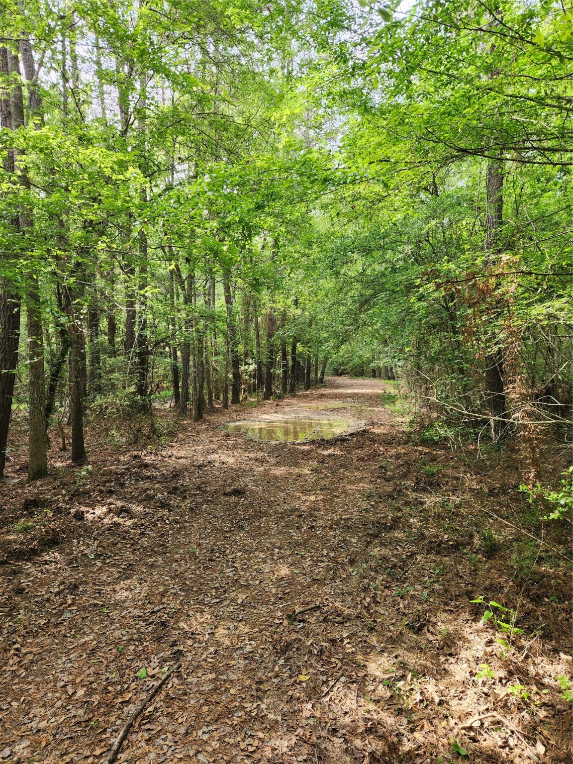 Tbd Ward Road Property Photo 3