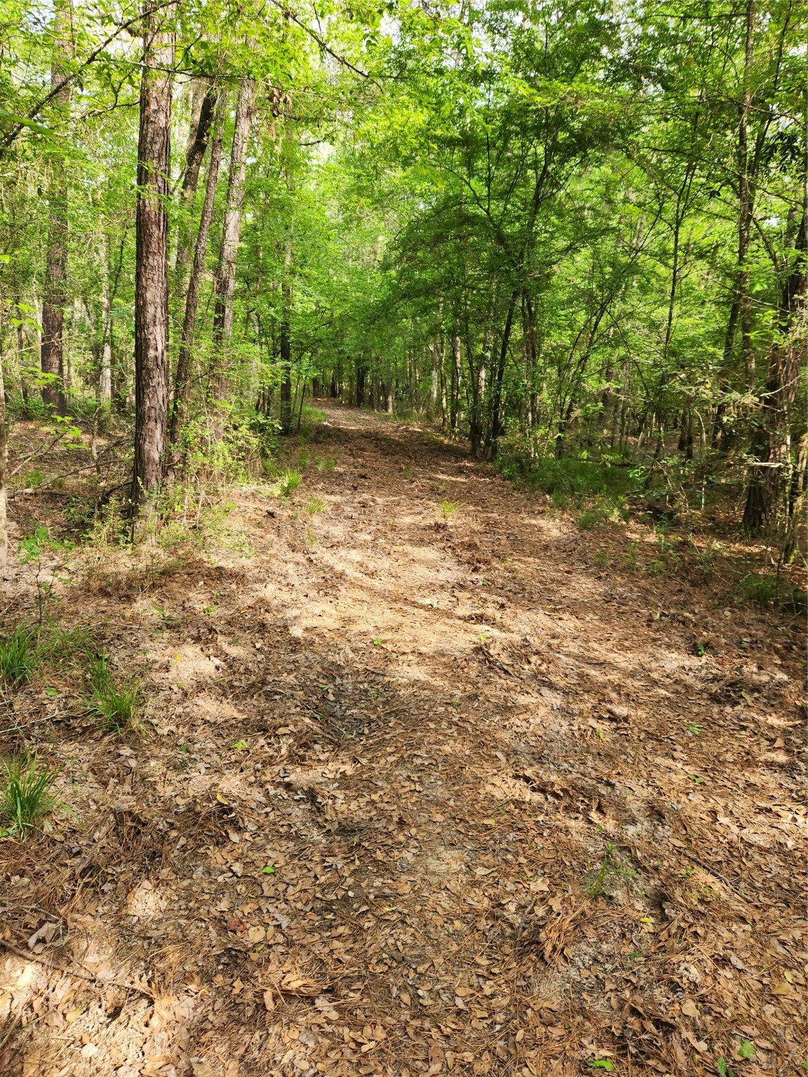 Tbd Ward Road Property Photo 4