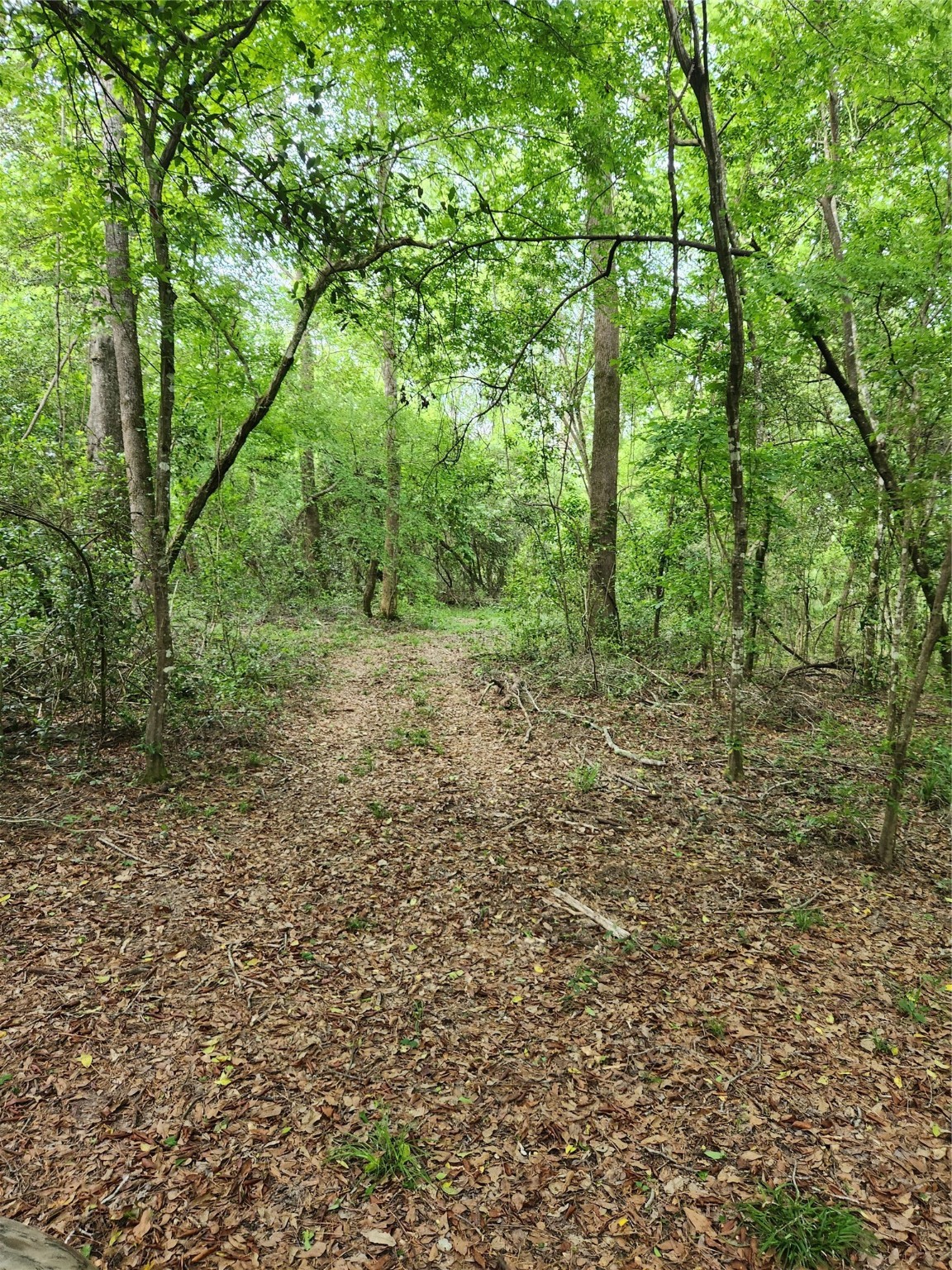 Tbd Ward Road Property Photo 5