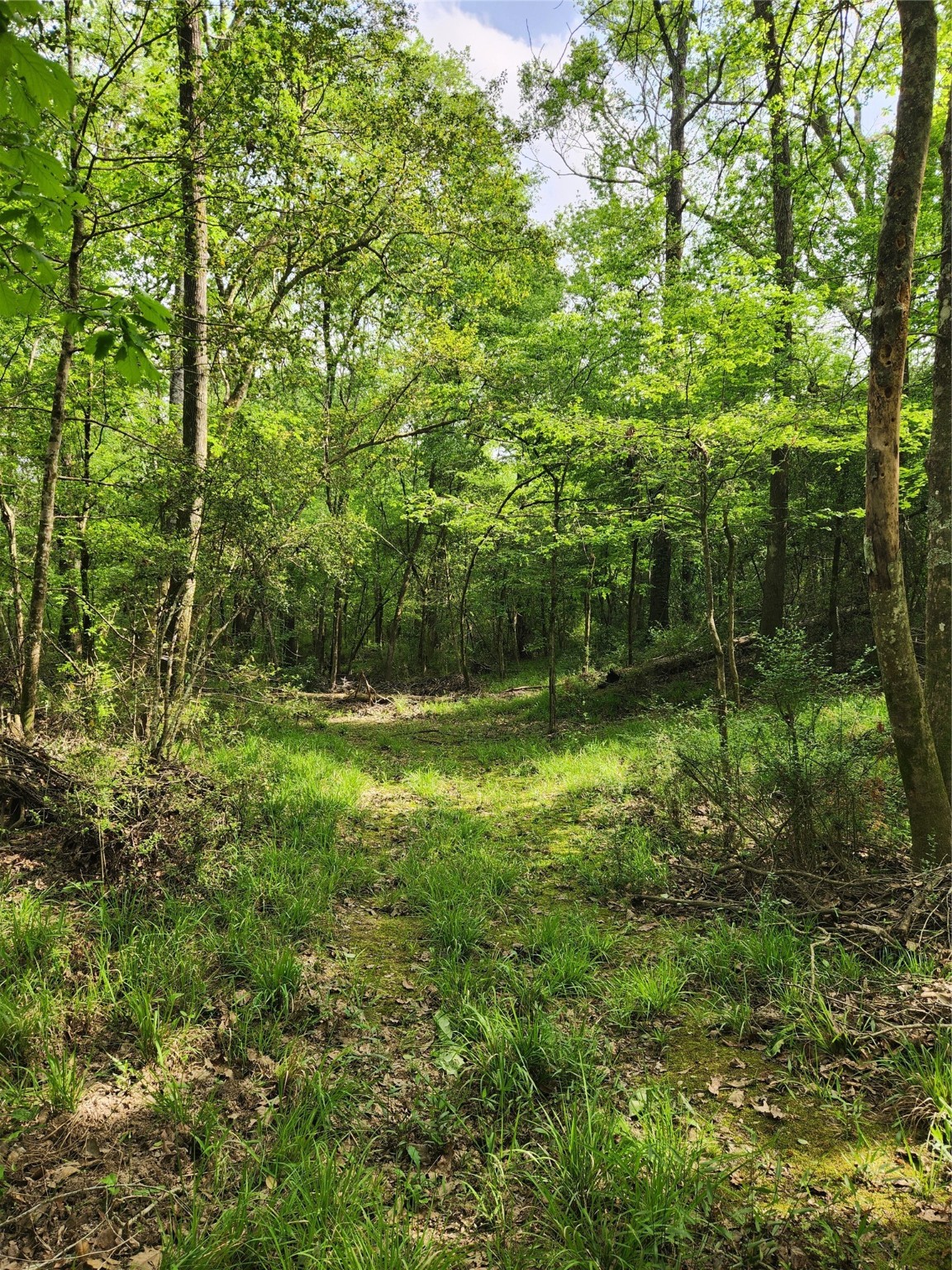 Tbd Ward Road Property Photo 10
